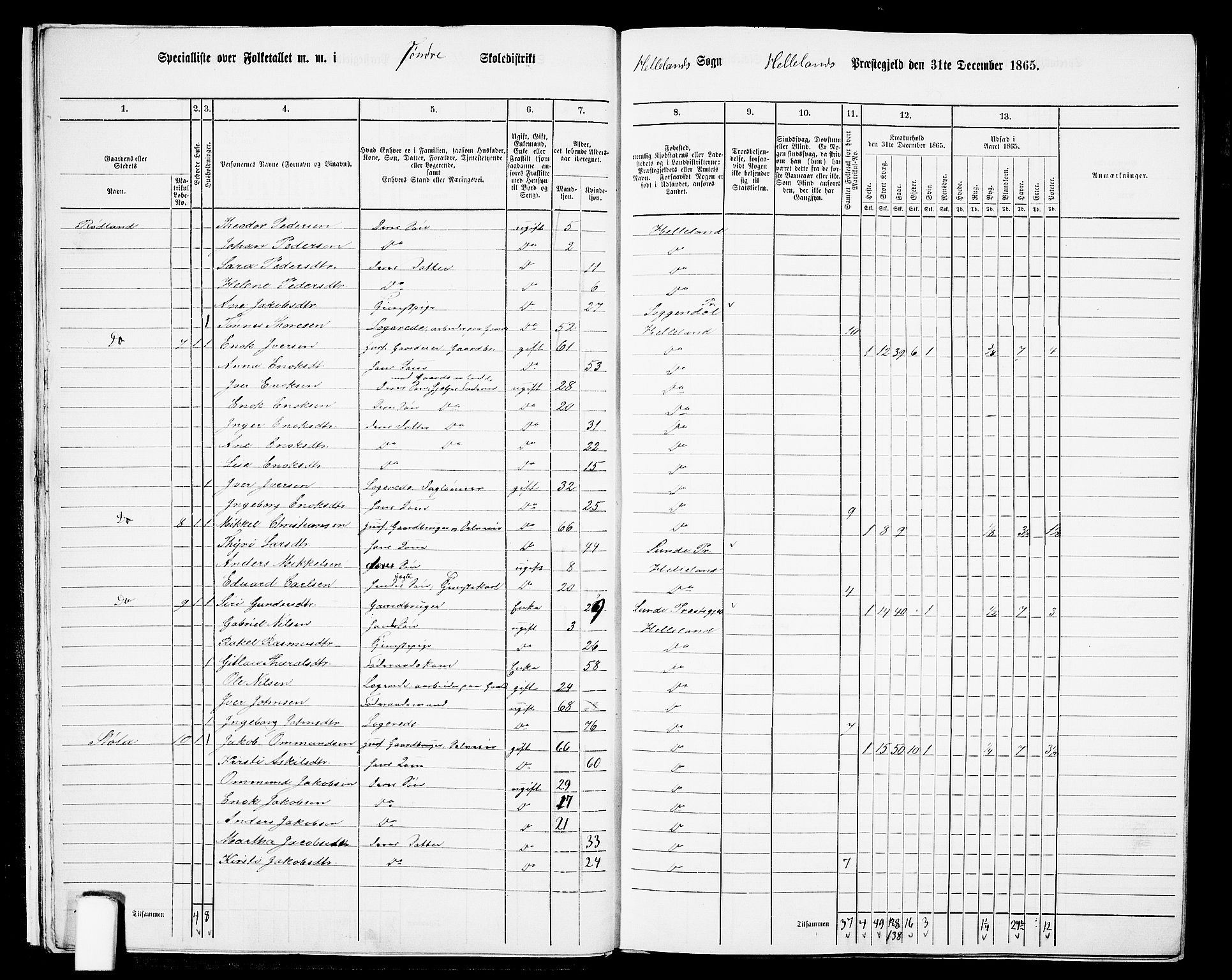 RA, 1865 census for Helleland, 1865, p. 14