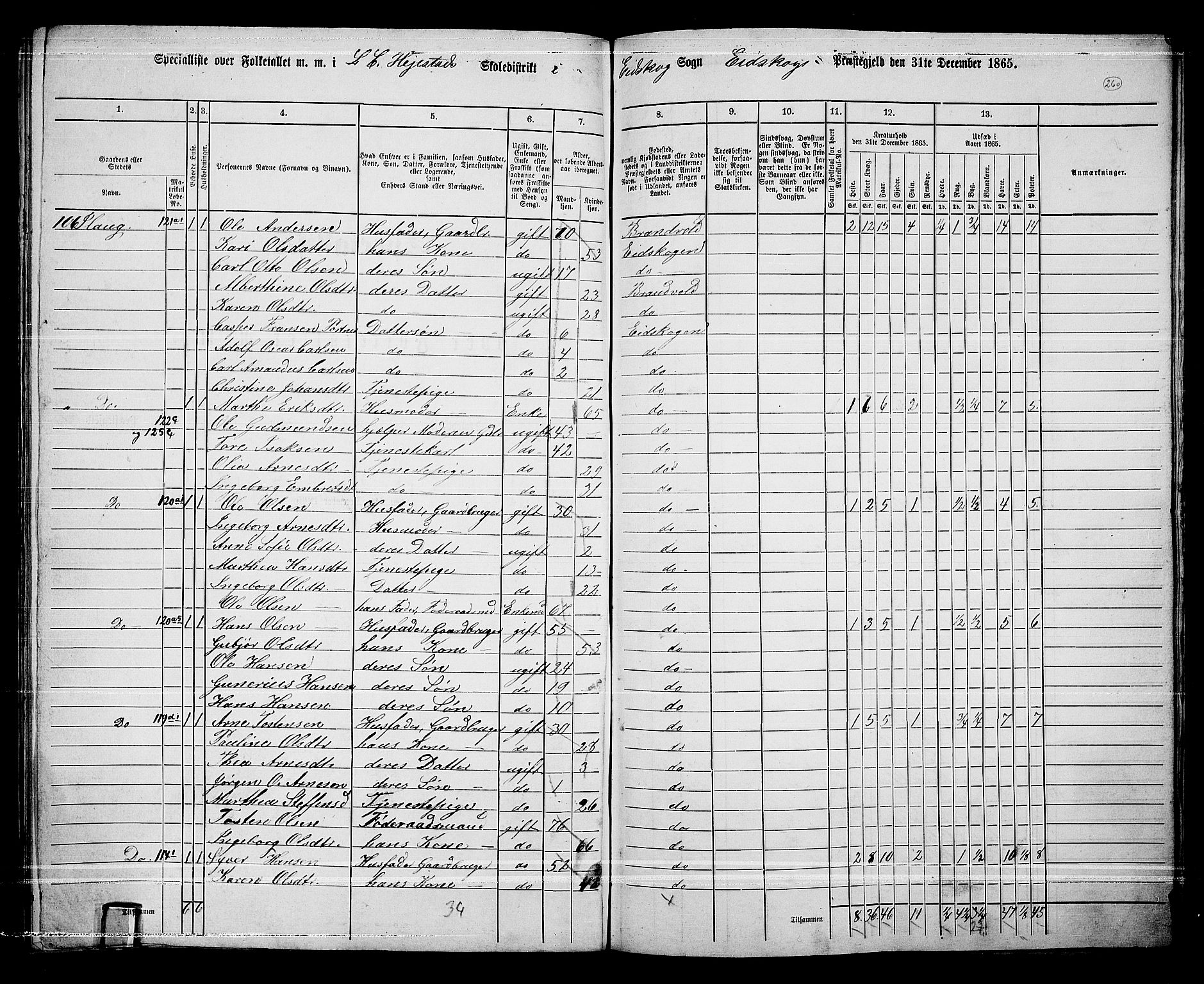 RA, 1865 census for Eidskog, 1865, p. 236
