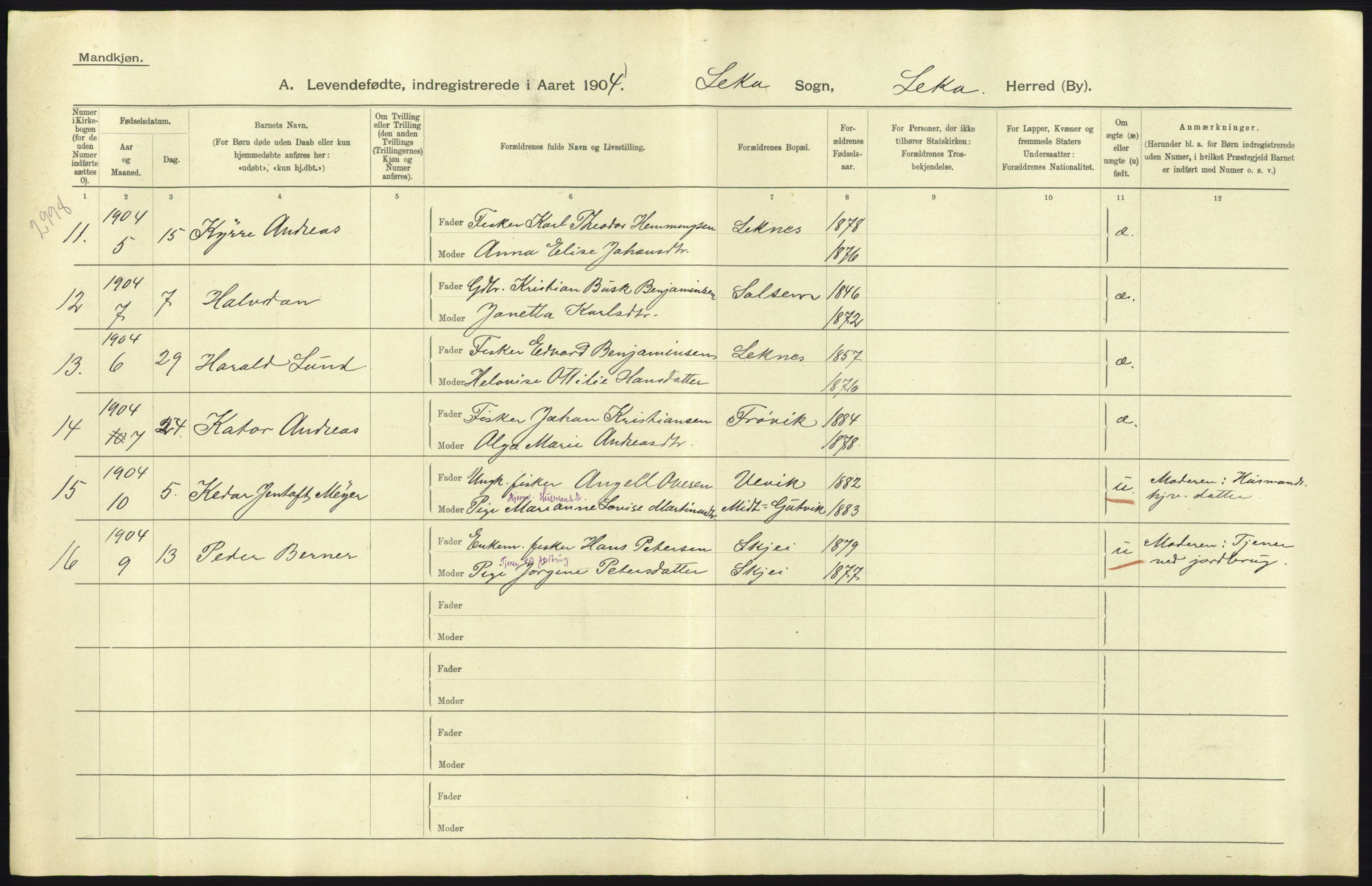 Statistisk sentralbyrå, Sosiodemografiske emner, Befolkning, AV/RA-S-2228/D/Df/Dfa/Dfab/L0019: Nordre Trondhjems amt: Fødte, gifte, døde, 1904, p. 307