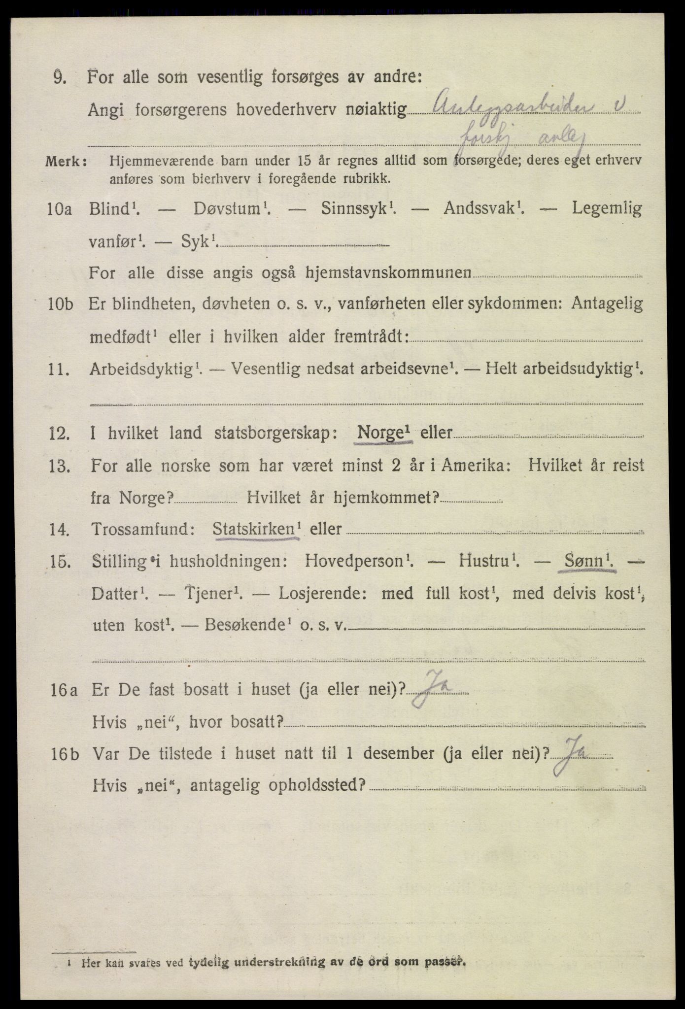 SAK, 1920 census for Hornnes, 1920, p. 2858