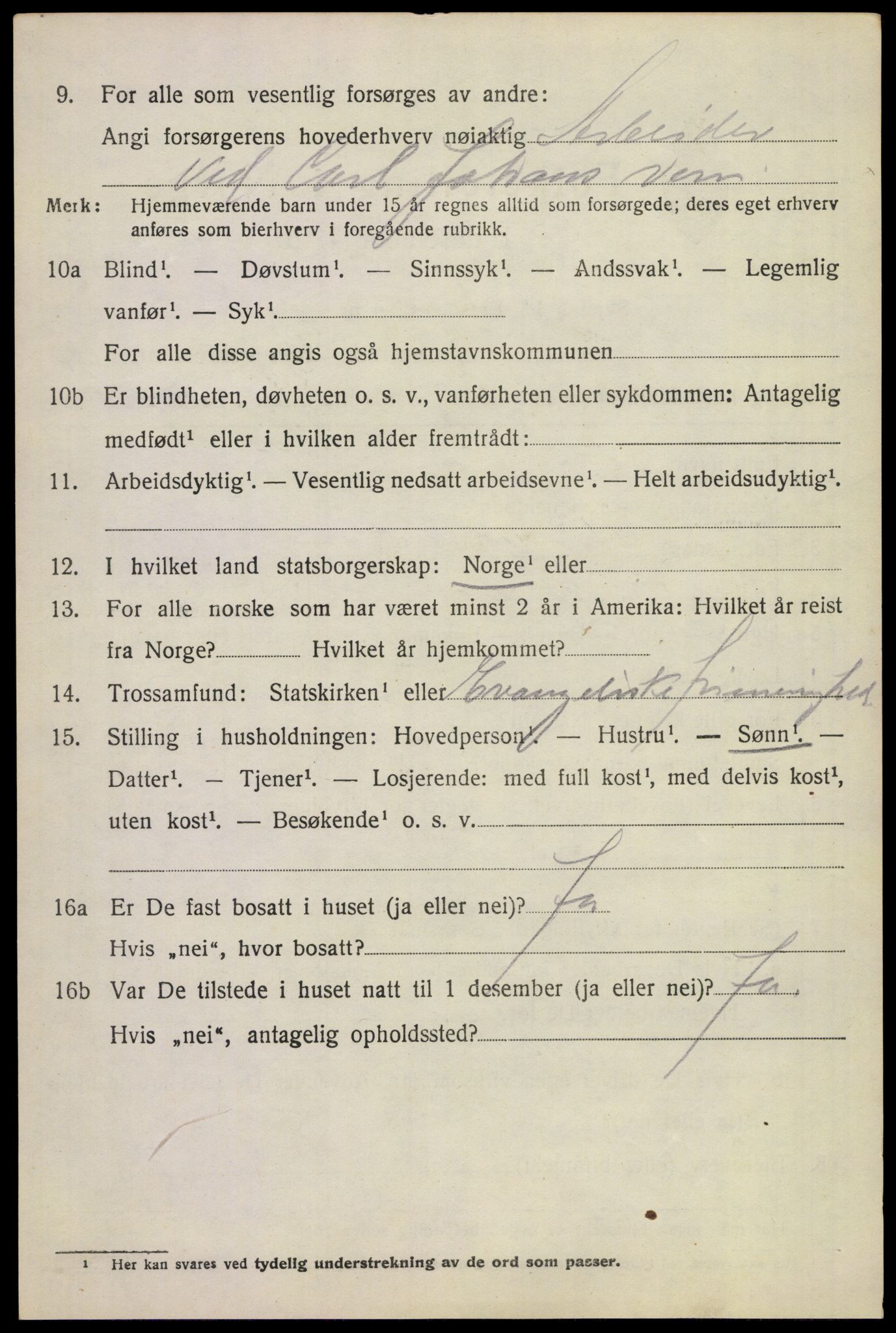 SAKO, 1920 census for Borre, 1920, p. 6211