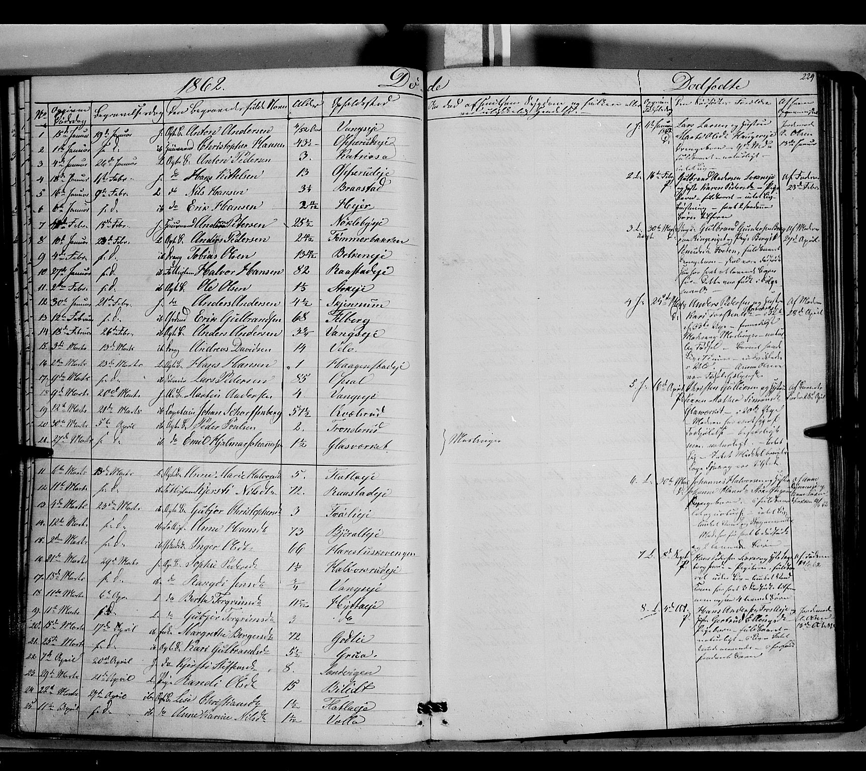 Jevnaker prestekontor, SAH/PREST-116/H/Ha/Haa/L0007: Parish register (official) no. 7, 1858-1876, p. 229