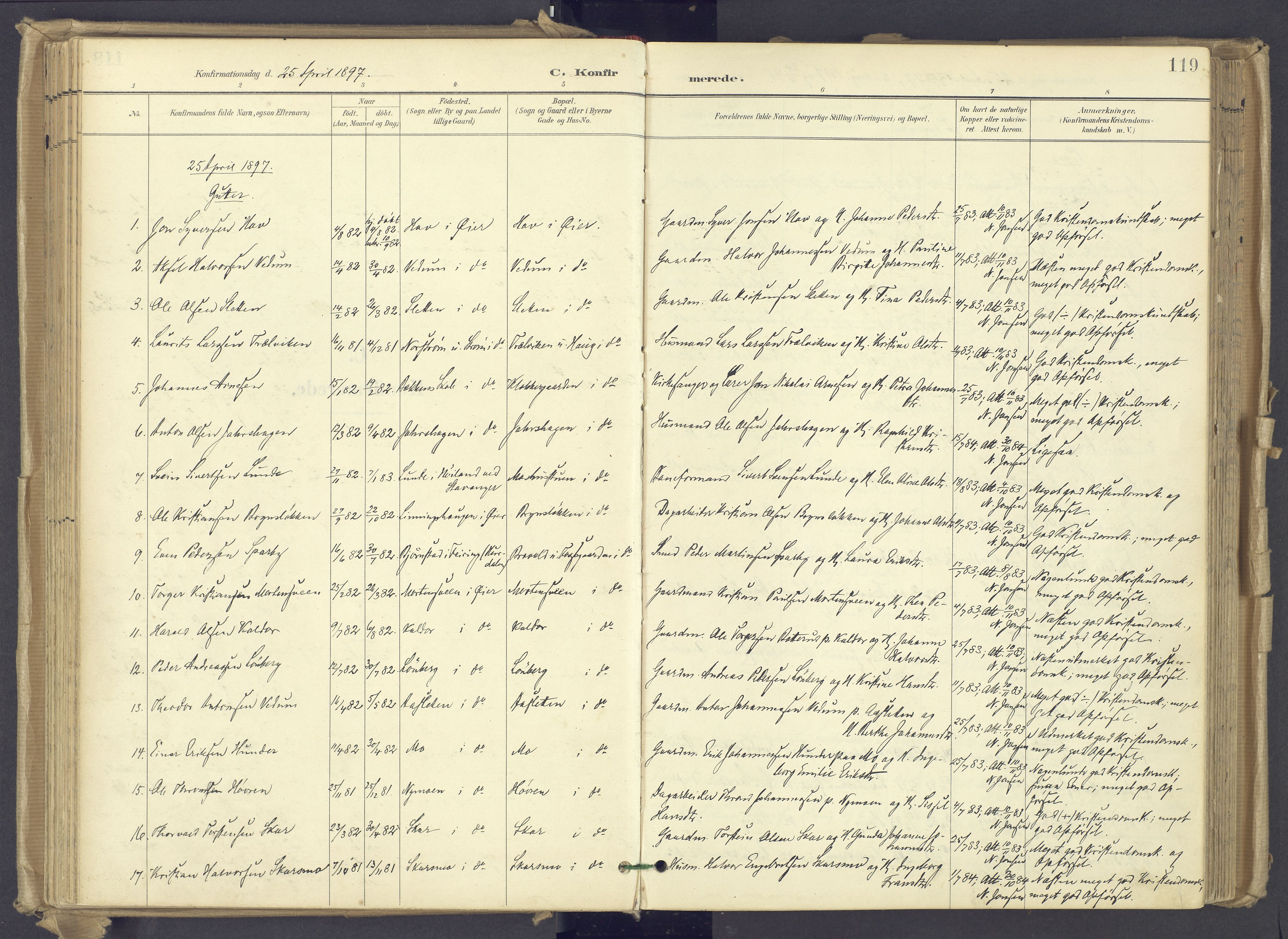 Øyer prestekontor, SAH/PREST-084/H/Ha/Haa/L0012: Parish register (official) no. 12, 1897-1920, p. 119