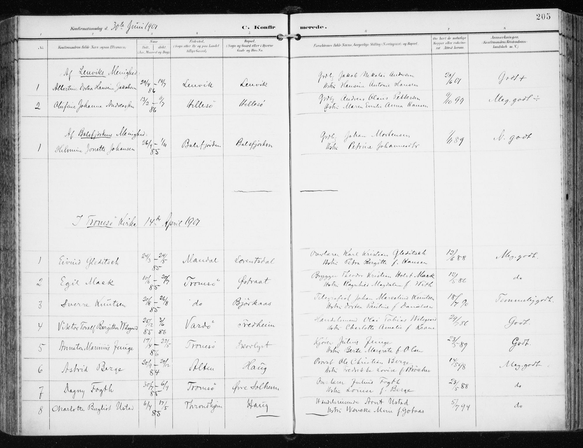 Tromsøysund sokneprestkontor, AV/SATØ-S-1304/G/Ga/L0006kirke: Parish register (official) no. 6, 1897-1906, p. 205