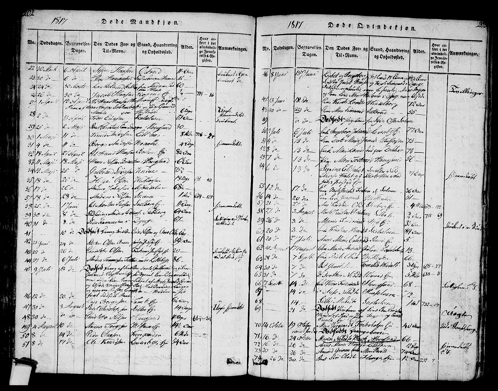 Eiker kirkebøker, AV/SAKO-A-4/G/Ga/L0001: Parish register (copy) no. I 1, 1814-1832, p. 202-203