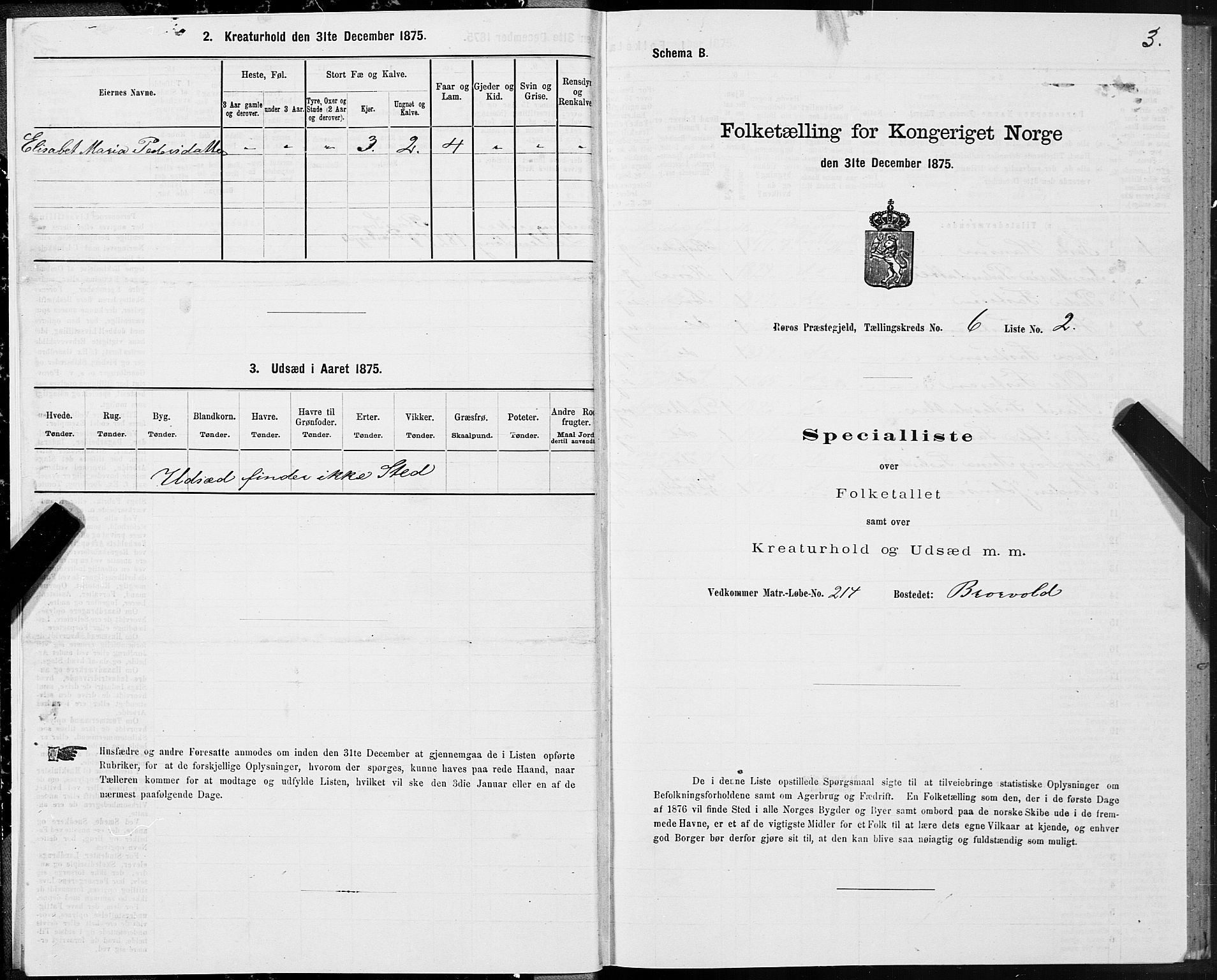 SAT, 1875 census for 1640P Røros, 1875, p. 4003