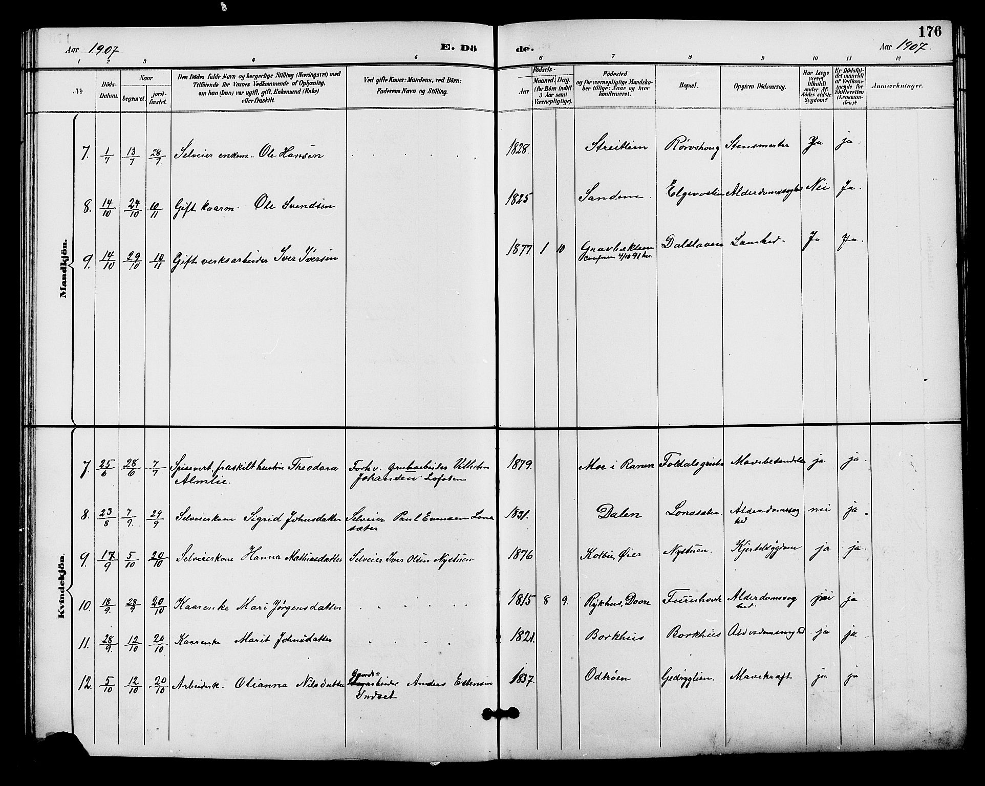 Alvdal prestekontor, AV/SAH-PREST-060/H/Ha/Hab/L0004: Parish register (copy) no. 4, 1894-1910, p. 176