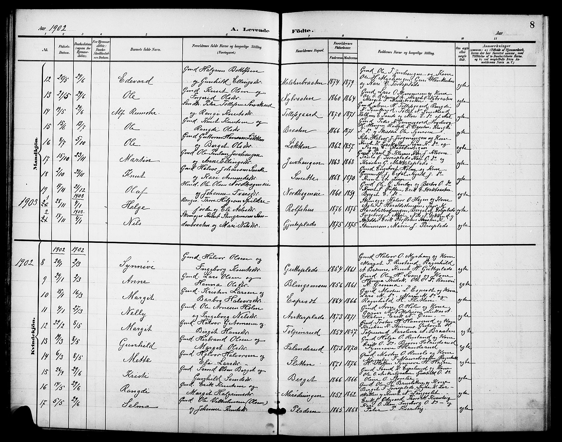 Nes kirkebøker, SAKO/A-236/G/Ga/L0004: Parish register (copy) no. I 4, 1900-1925, p. 8