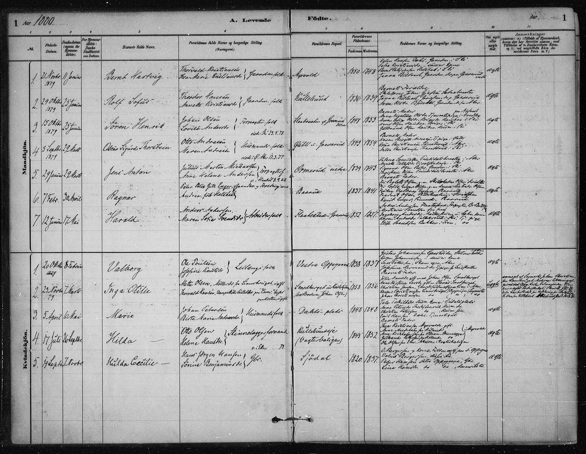 Nesodden prestekontor Kirkebøker, AV/SAO-A-10013/F/Fb/L0001: Parish register (official) no. II 1, 1880-1915, p. 1