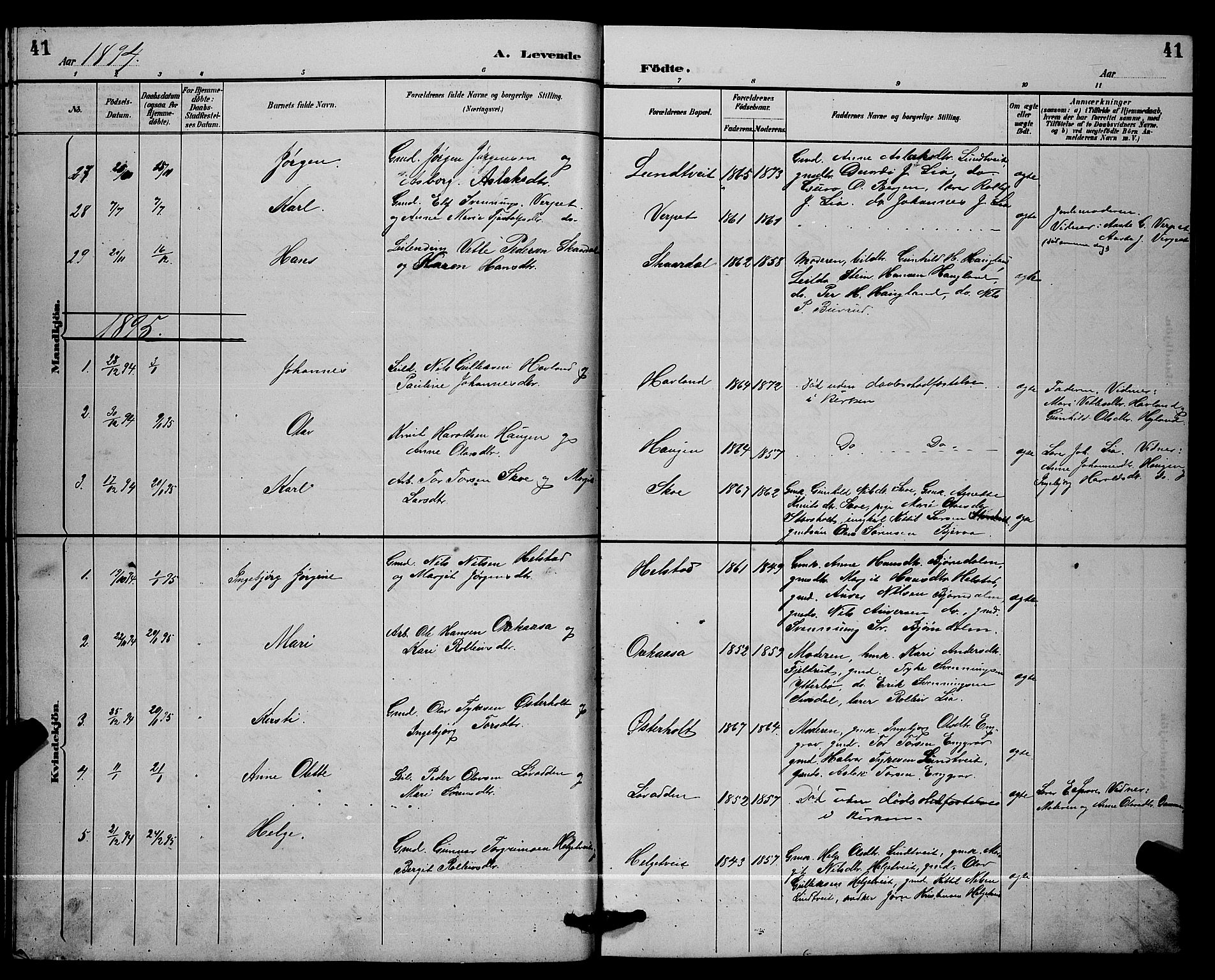 Lunde kirkebøker, SAKO/A-282/G/Ga/L0002: Parish register (copy) no. I 2, 1887-1896, p. 41