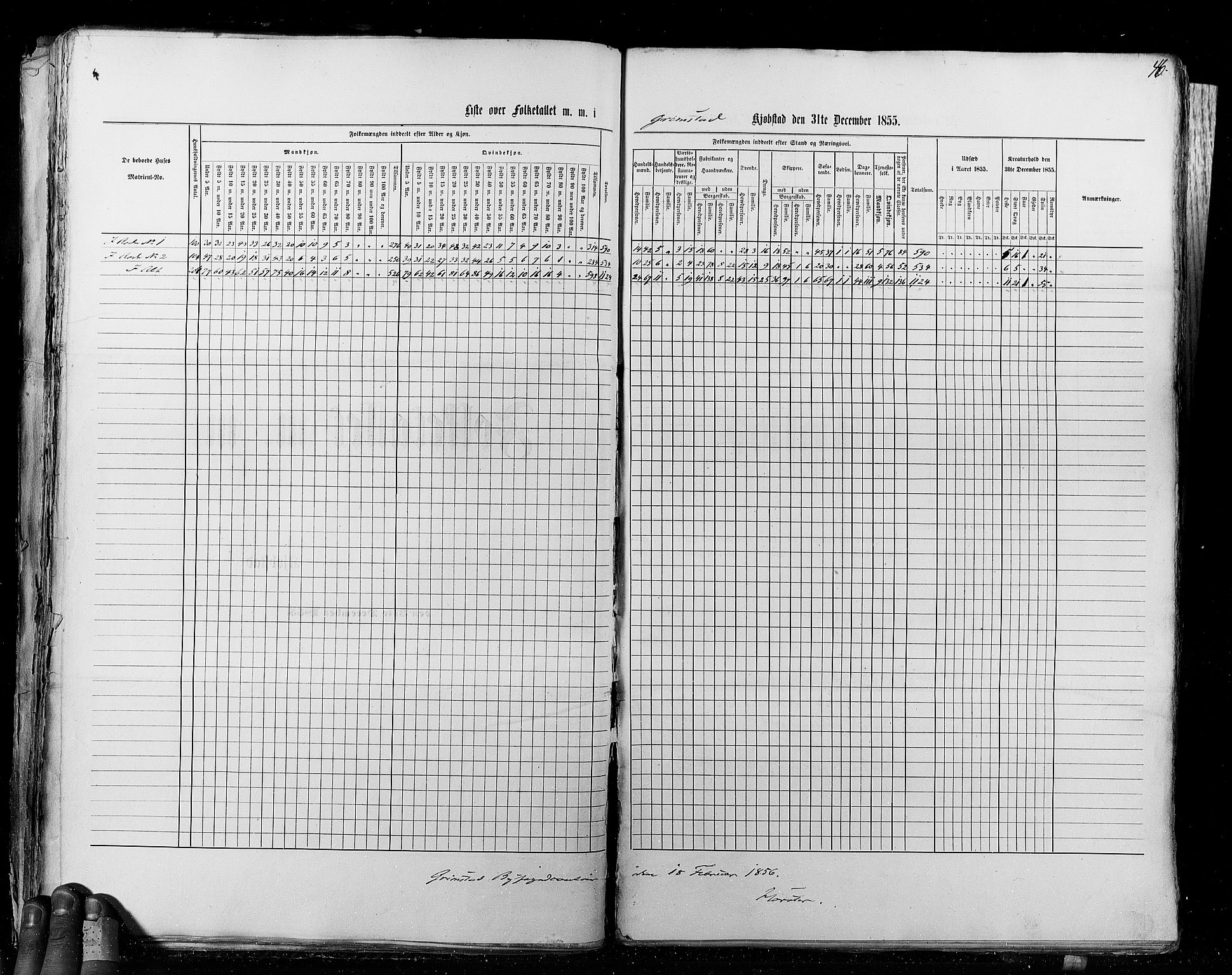 RA, Census 1855, vol. 8: Risør-Vadsø, 1855, p. 46