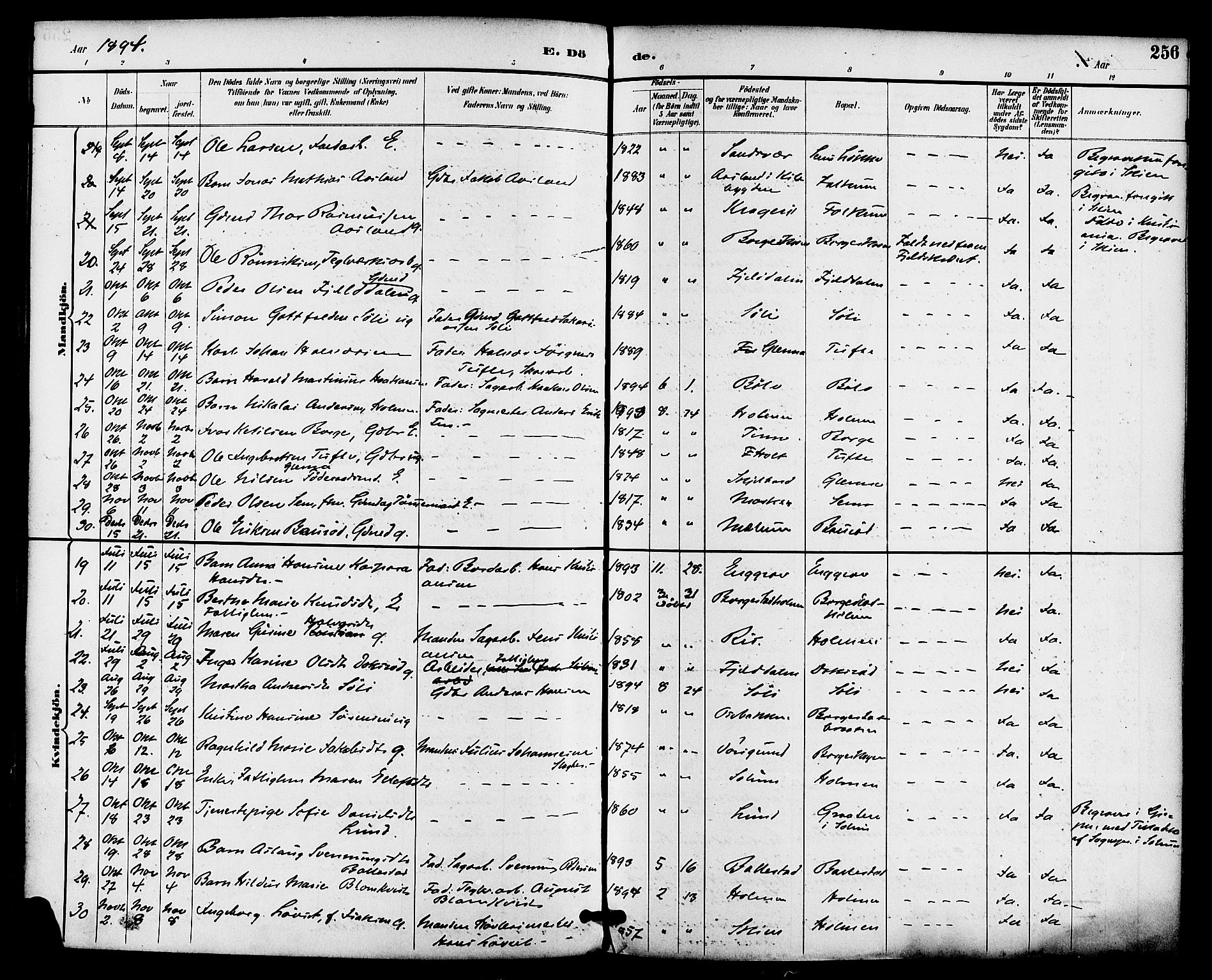 Gjerpen kirkebøker, SAKO/A-265/F/Fa/L0010: Parish register (official) no. I 10, 1886-1895, p. 256