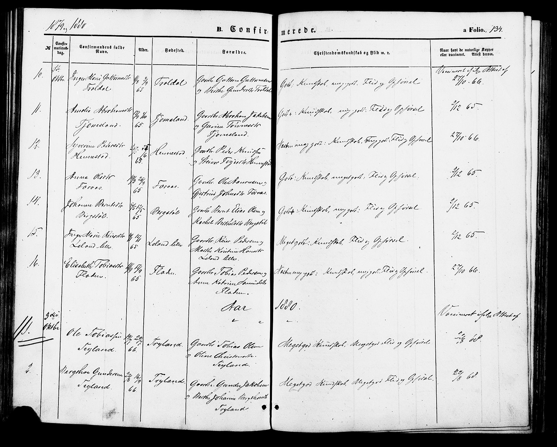 Nord-Audnedal sokneprestkontor, AV/SAK-1111-0032/F/Fa/Fab/L0002: Parish register (official) no. A 2, 1859-1882, p. 134