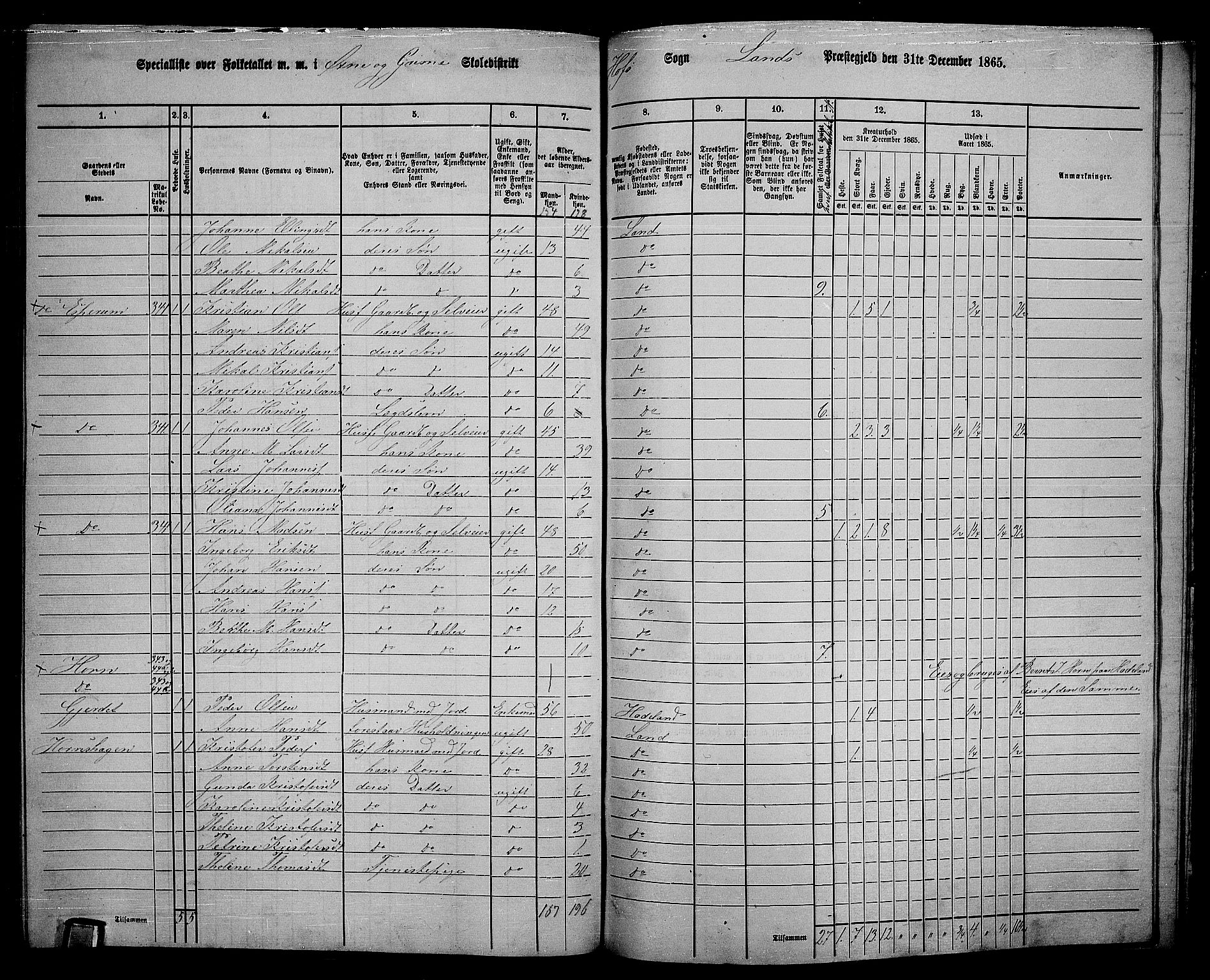 RA, 1865 census for Land, 1865, p. 385