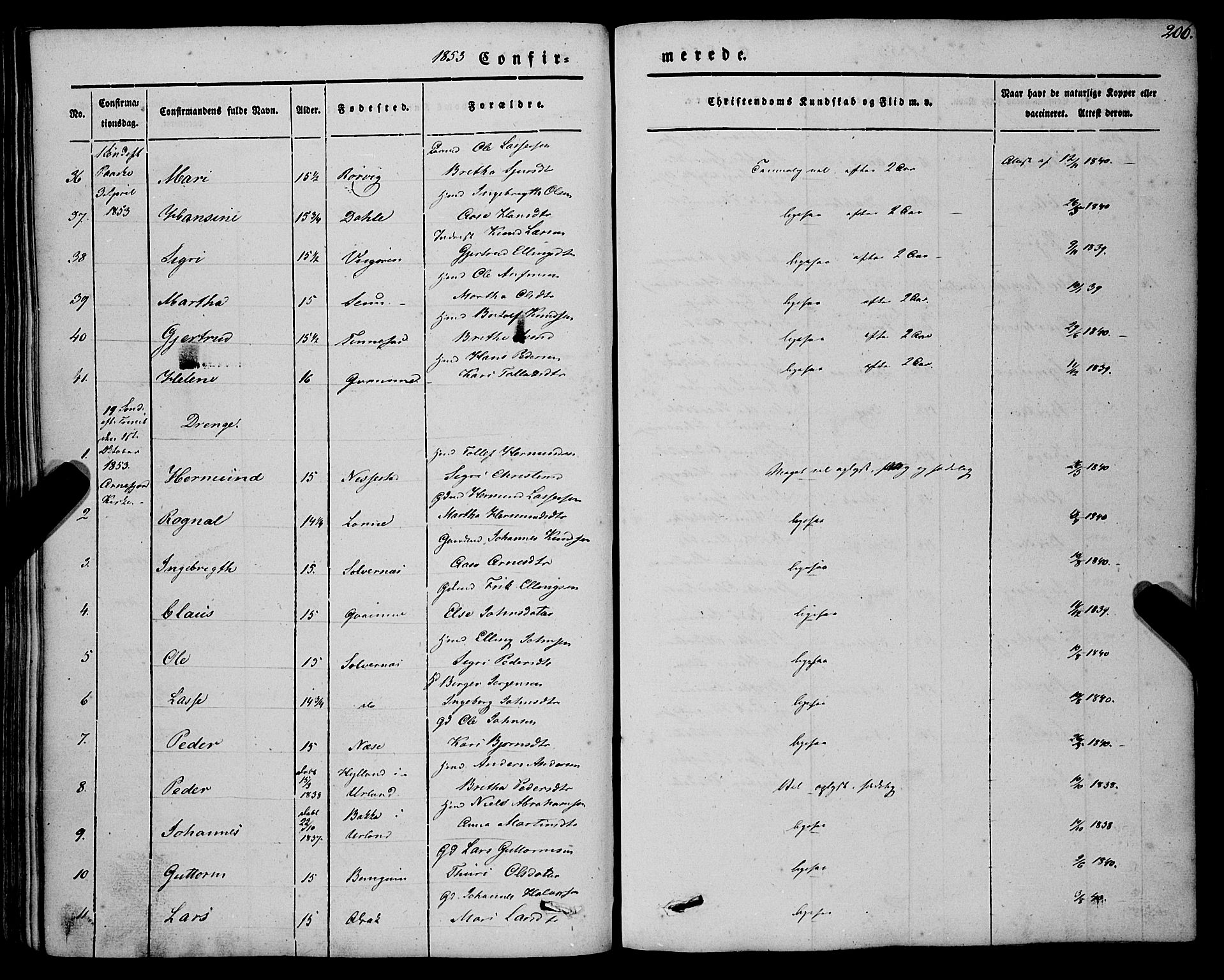 Vik sokneprestembete, SAB/A-81501: Parish register (official) no. A 8, 1846-1865, p. 206