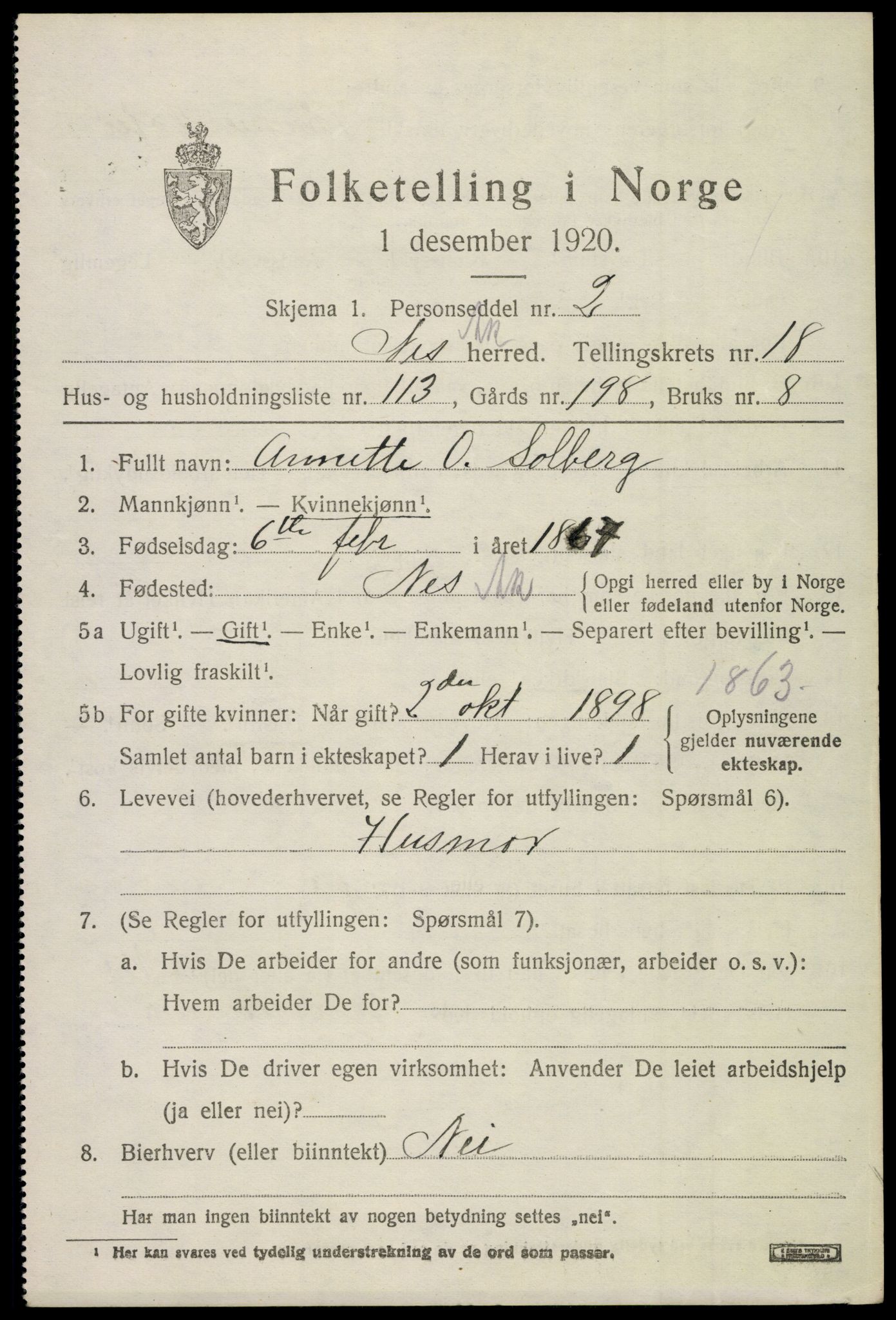 SAO, 1920 census for Nes, 1920, p. 19102