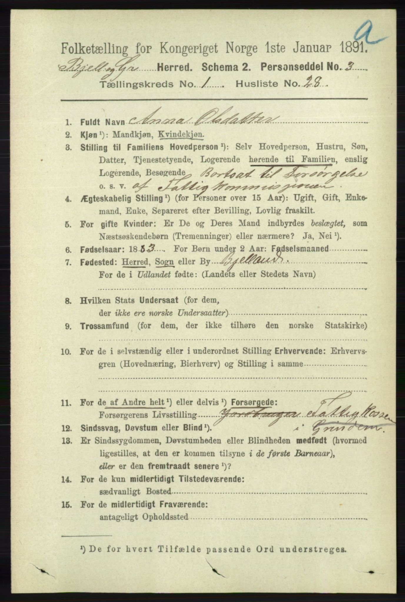 RA, 1891 census for 1024 Bjelland og Grindheim, 1891, p. 204