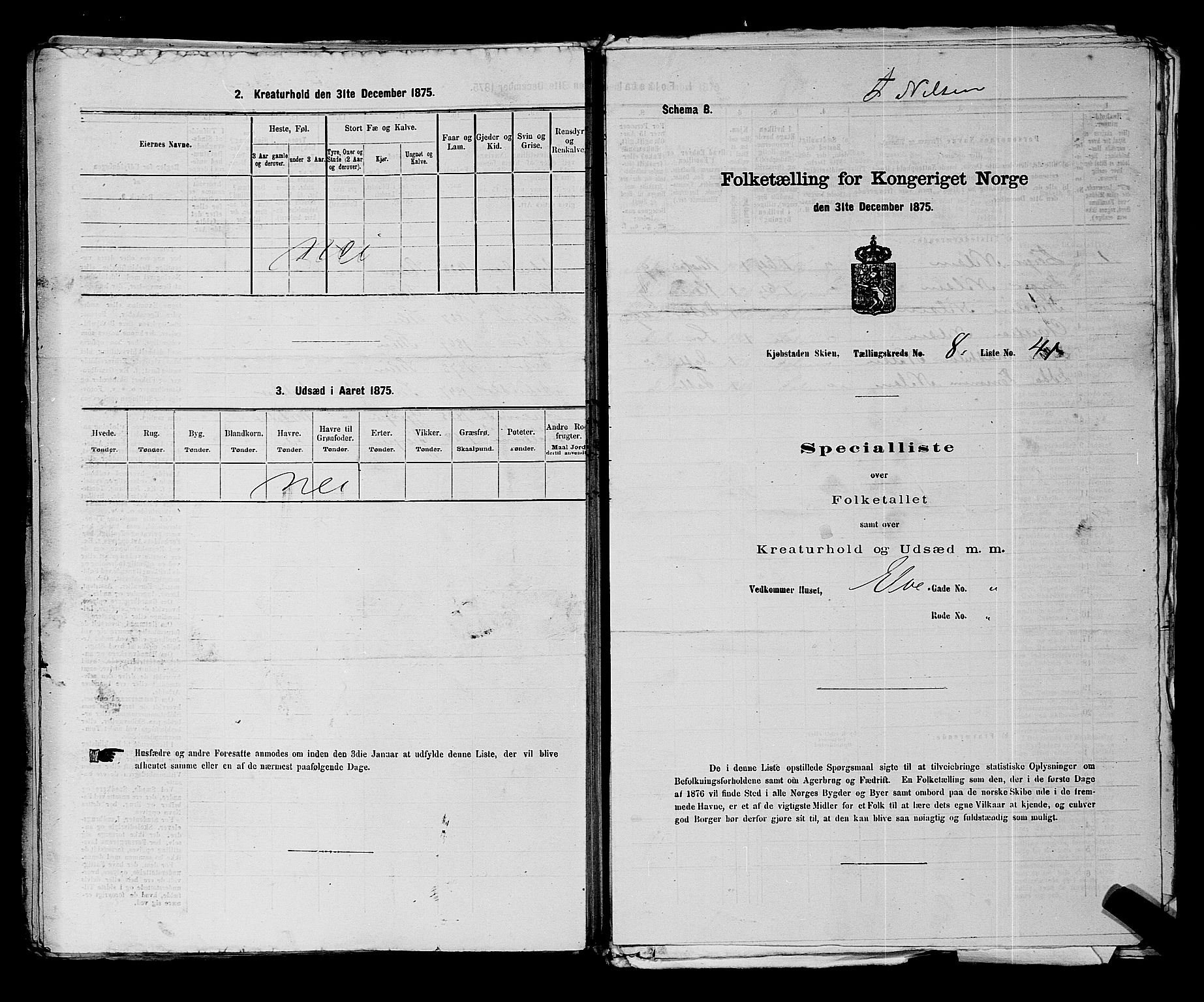 SAKO, 1875 census for 0806P Skien, 1875, p. 1333