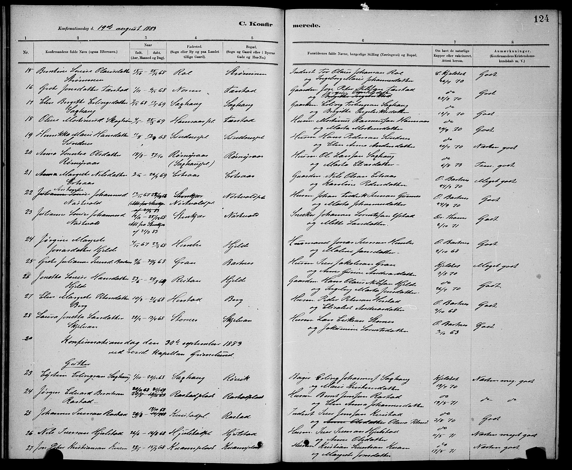 Ministerialprotokoller, klokkerbøker og fødselsregistre - Nord-Trøndelag, AV/SAT-A-1458/730/L0301: Parish register (copy) no. 730C04, 1880-1897, p. 124