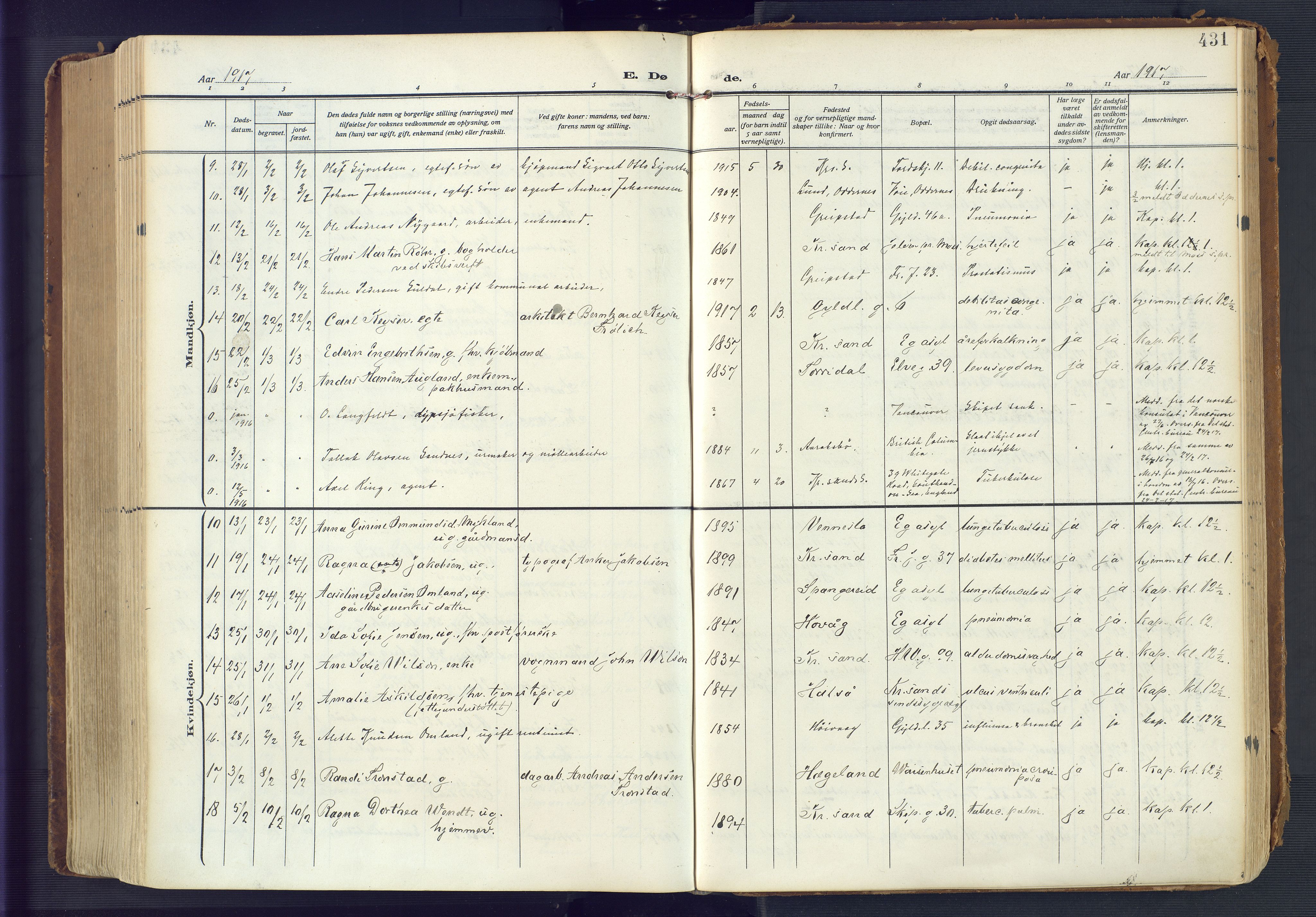 Kristiansand domprosti, AV/SAK-1112-0006/F/Fa/L0023: Parish register (official) no. A 22, 1909-1917, p. 431