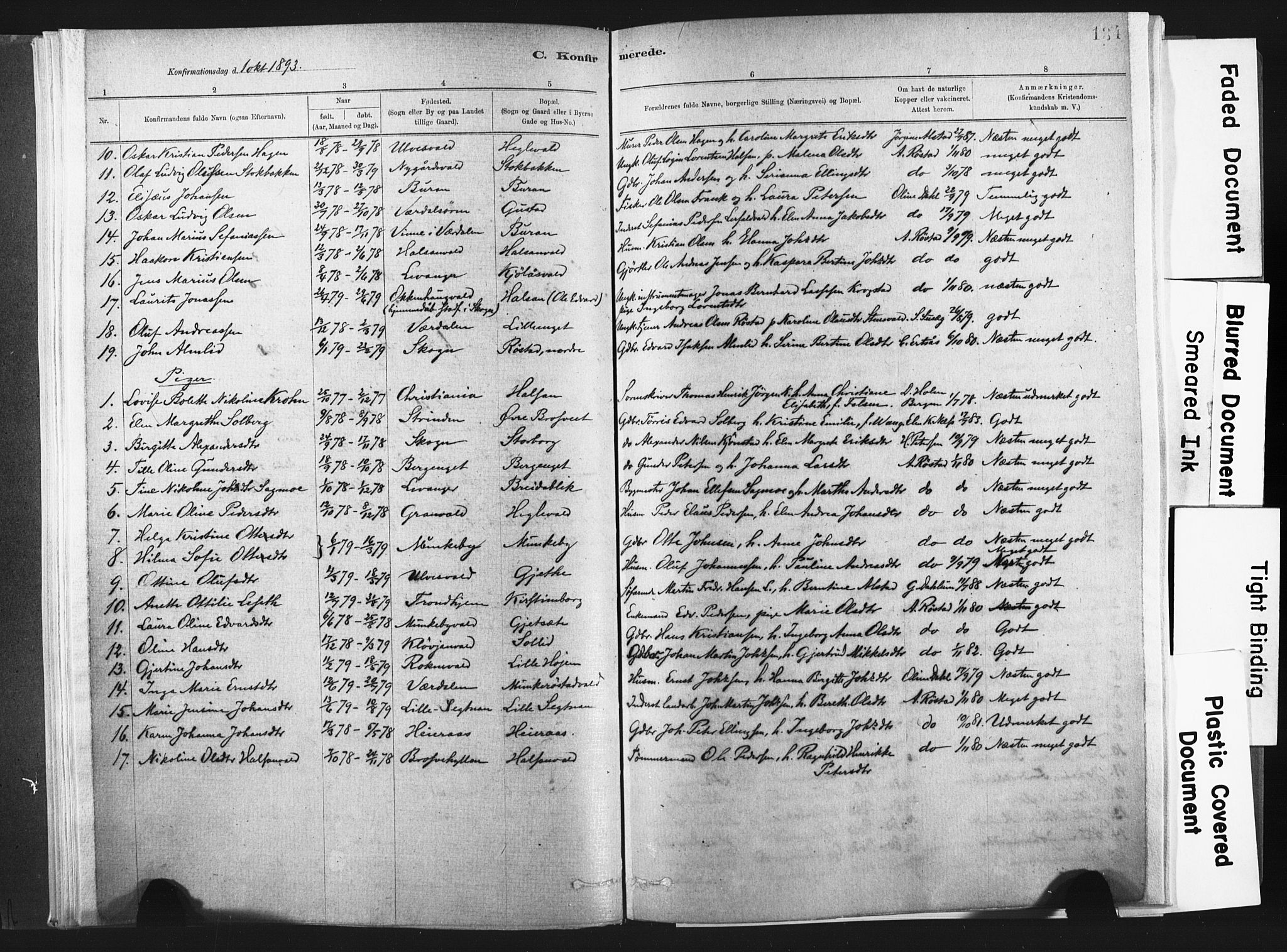 Ministerialprotokoller, klokkerbøker og fødselsregistre - Nord-Trøndelag, SAT/A-1458/721/L0207: Parish register (official) no. 721A02, 1880-1911, p. 134