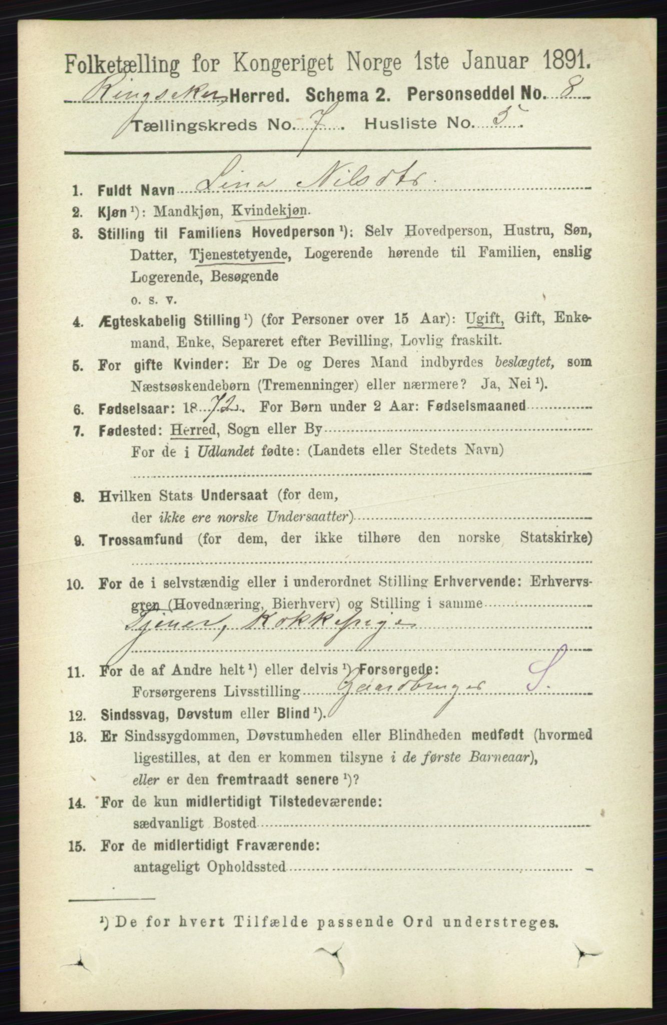 RA, 1891 census for 0412 Ringsaker, 1891, p. 3904