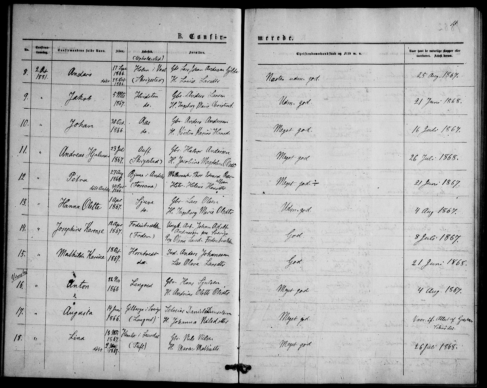 Ramnes kirkebøker, AV/SAKO-A-314/F/Fd/L0002: Curate's parish register no. IV 2, 1872-1886, p. 15