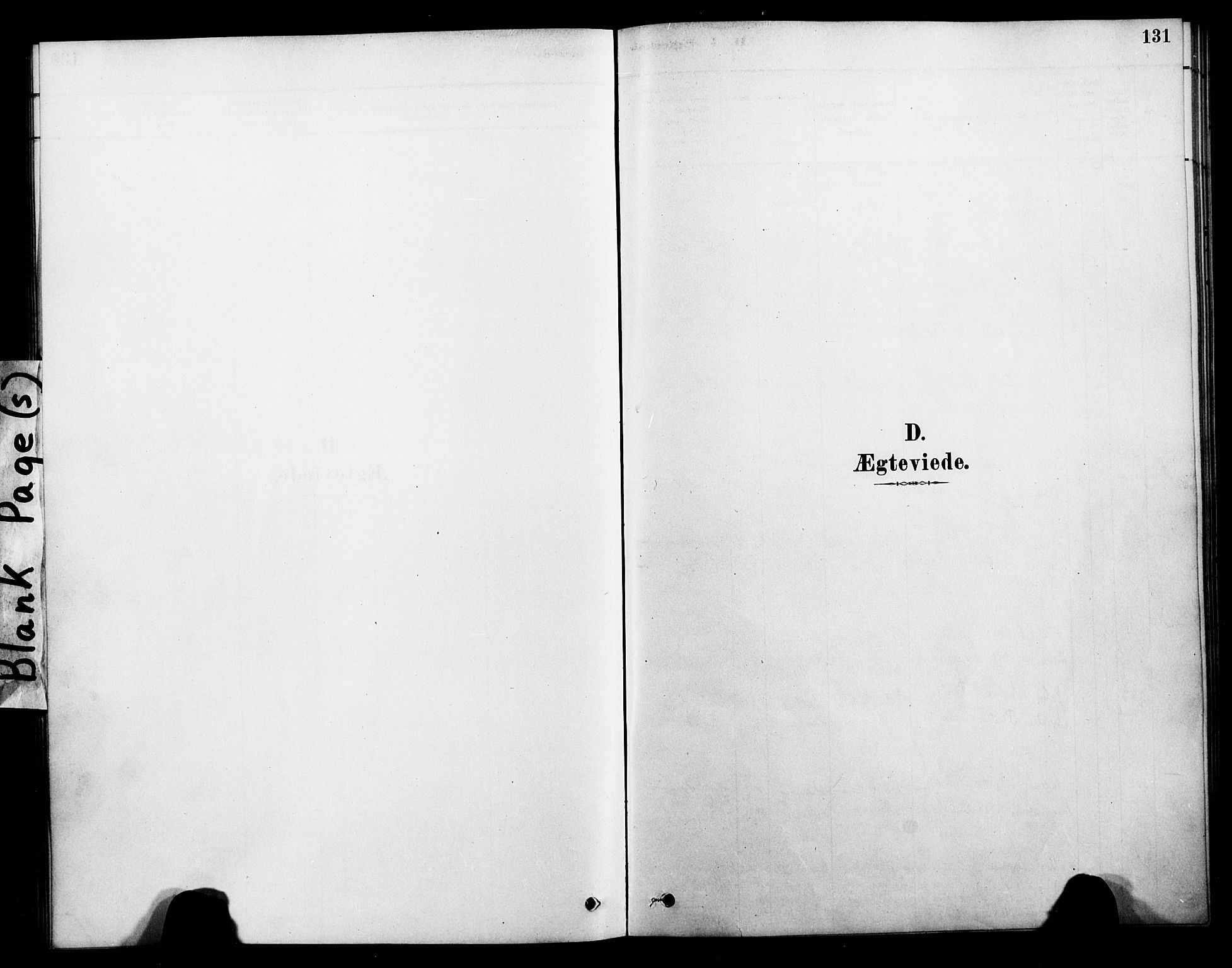 Ministerialprotokoller, klokkerbøker og fødselsregistre - Nordland, SAT/A-1459/899/L1436: Parish register (official) no. 899A04, 1881-1896, p. 131