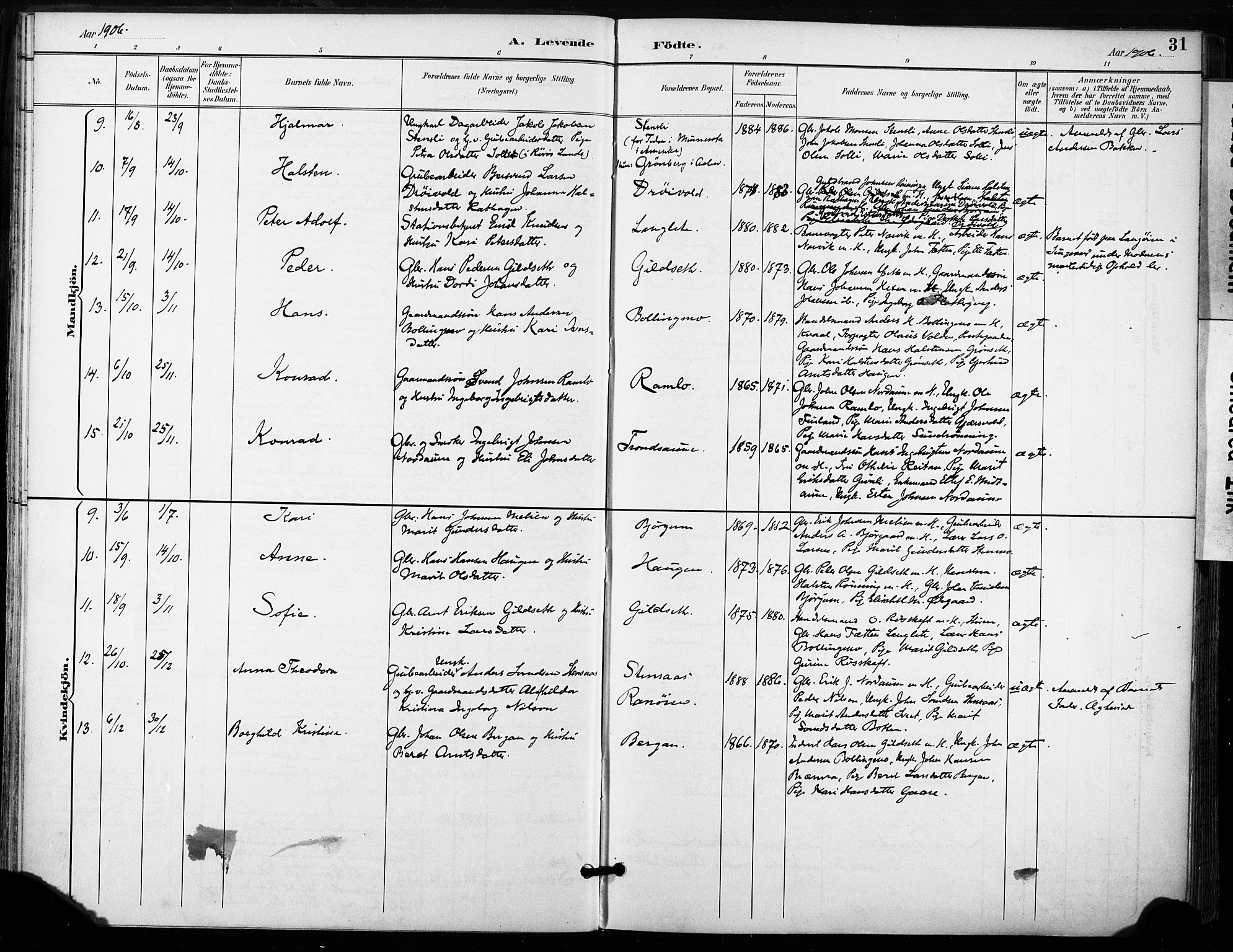 Ministerialprotokoller, klokkerbøker og fødselsregistre - Sør-Trøndelag, SAT/A-1456/685/L0973: Parish register (official) no. 685A10, 1891-1907, p. 31