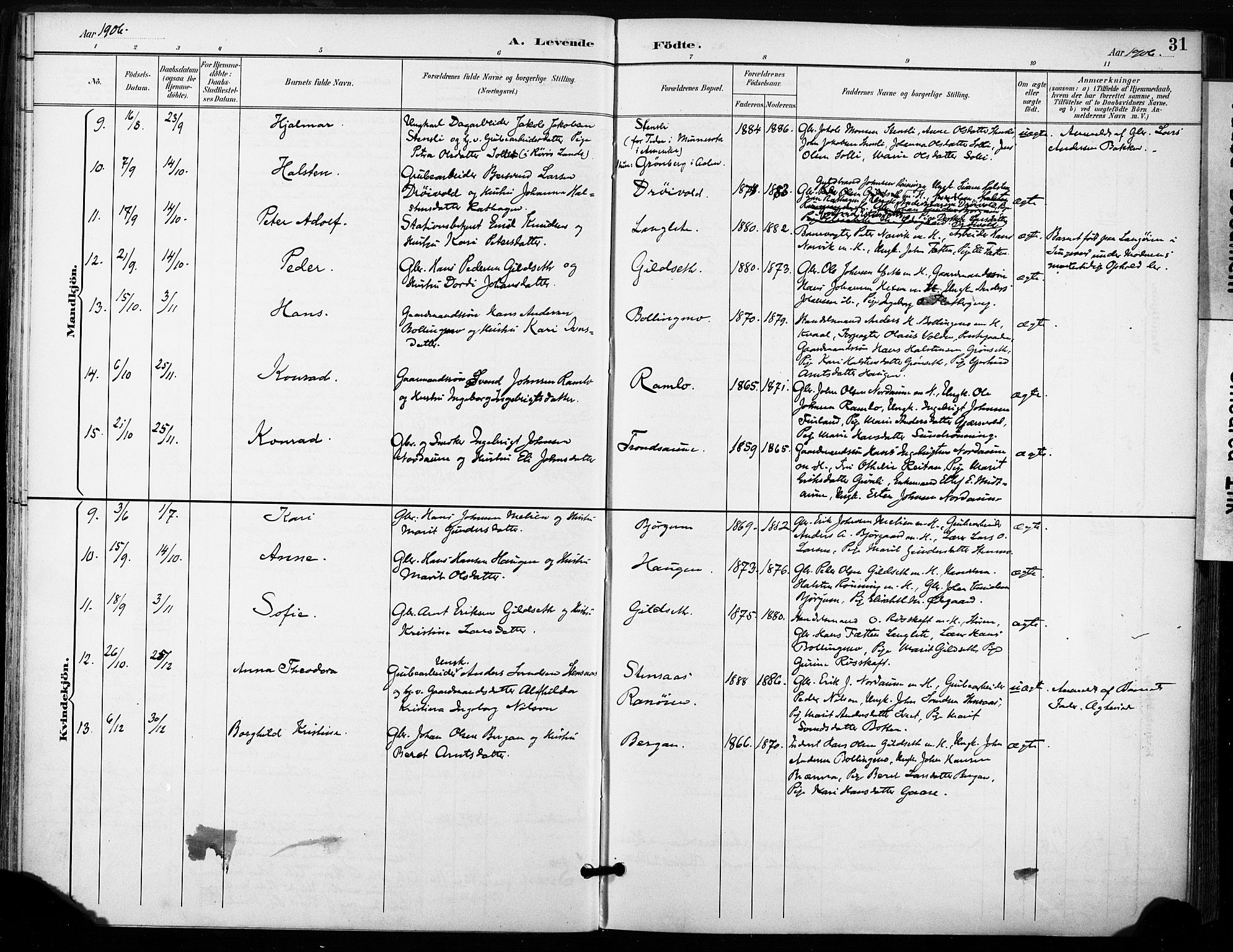 Ministerialprotokoller, klokkerbøker og fødselsregistre - Sør-Trøndelag, AV/SAT-A-1456/685/L0973: Parish register (official) no. 685A10, 1891-1907, p. 31