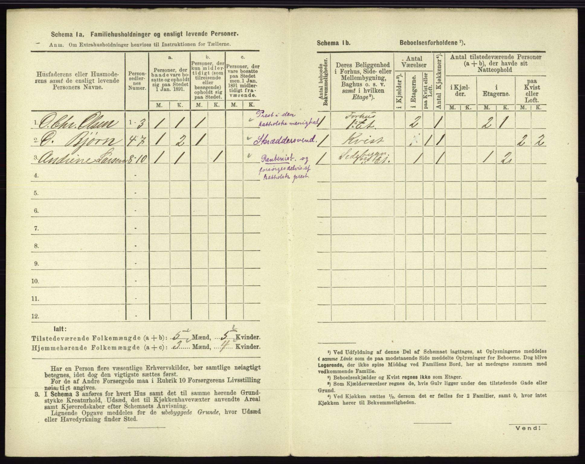 RA, 1891 census for 0602 Drammen, 1891, p. 1310