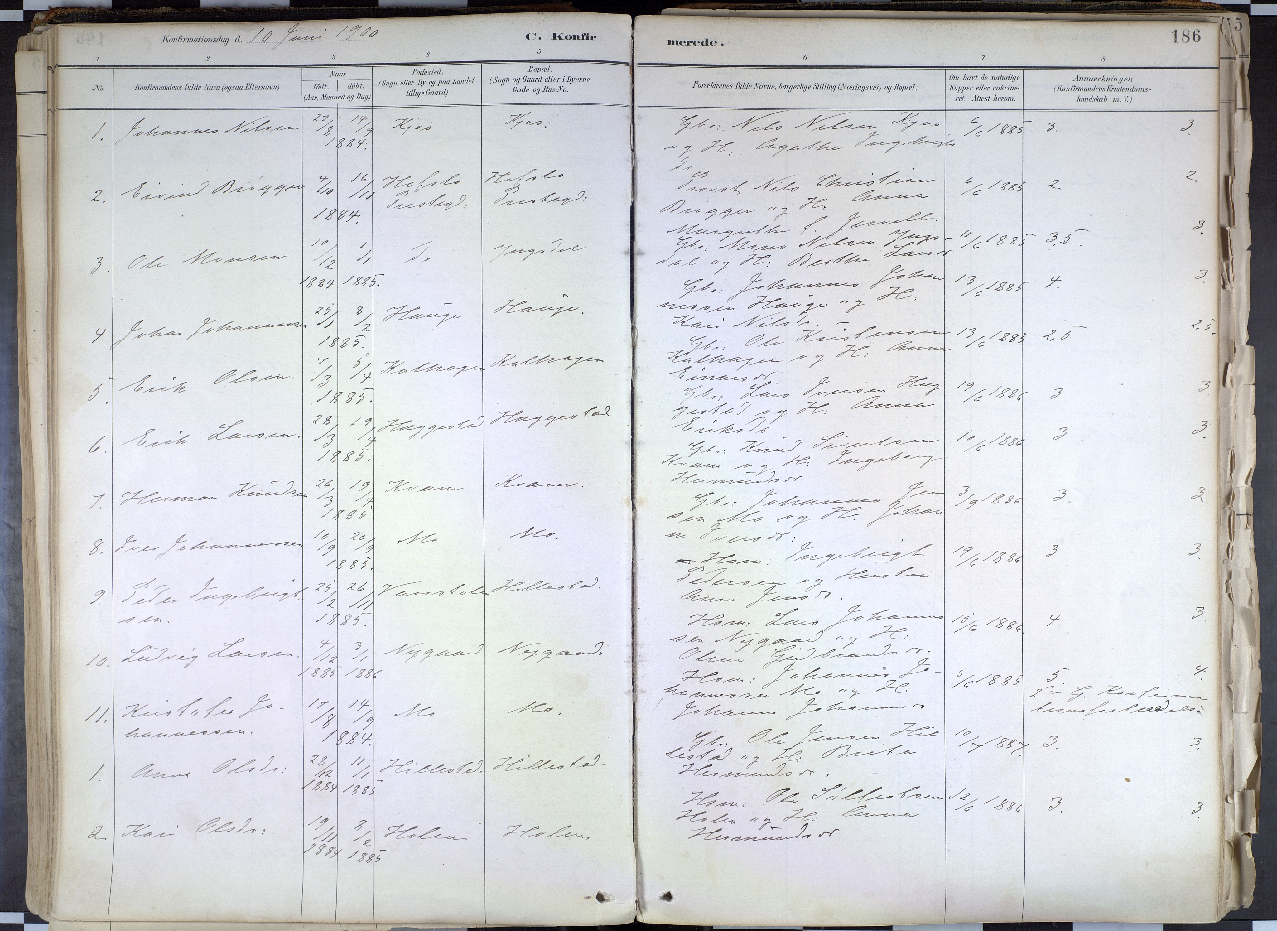 Hafslo sokneprestembete, SAB/A-80301/H/Haa/Haab/L0001: Parish register (official) no. B 1, 1886-1945, p. 186