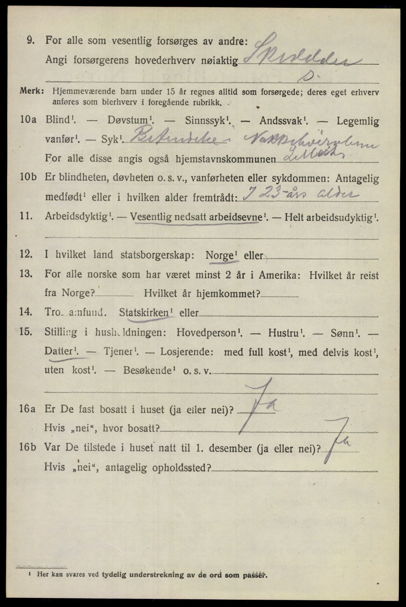 SAO, 1920 census for Lillestrøm, 1920, p. 3315