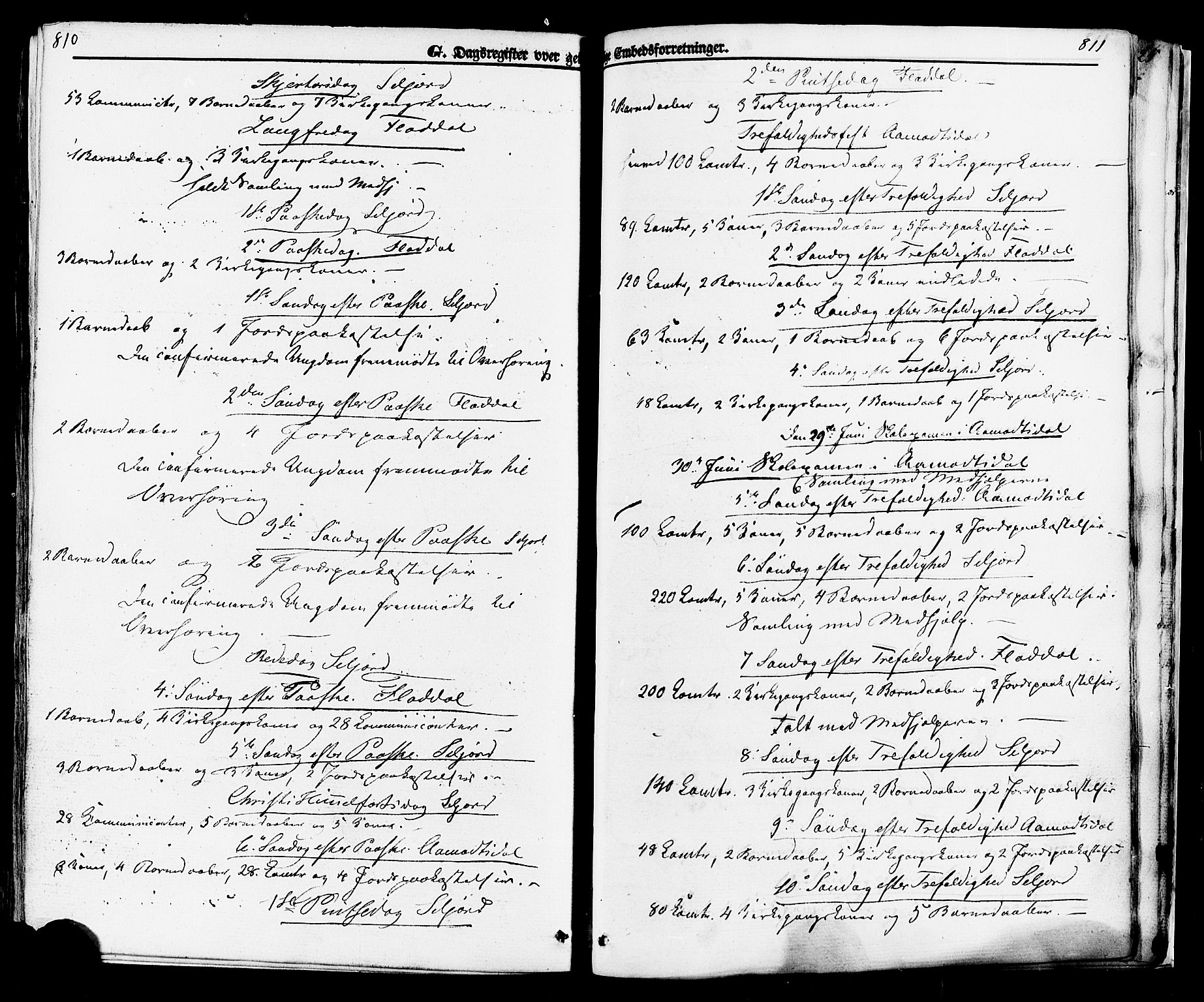 Seljord kirkebøker, SAKO/A-20/F/Fa/L0013: Parish register (official) no. I 13, 1866-1876, p. 810-811