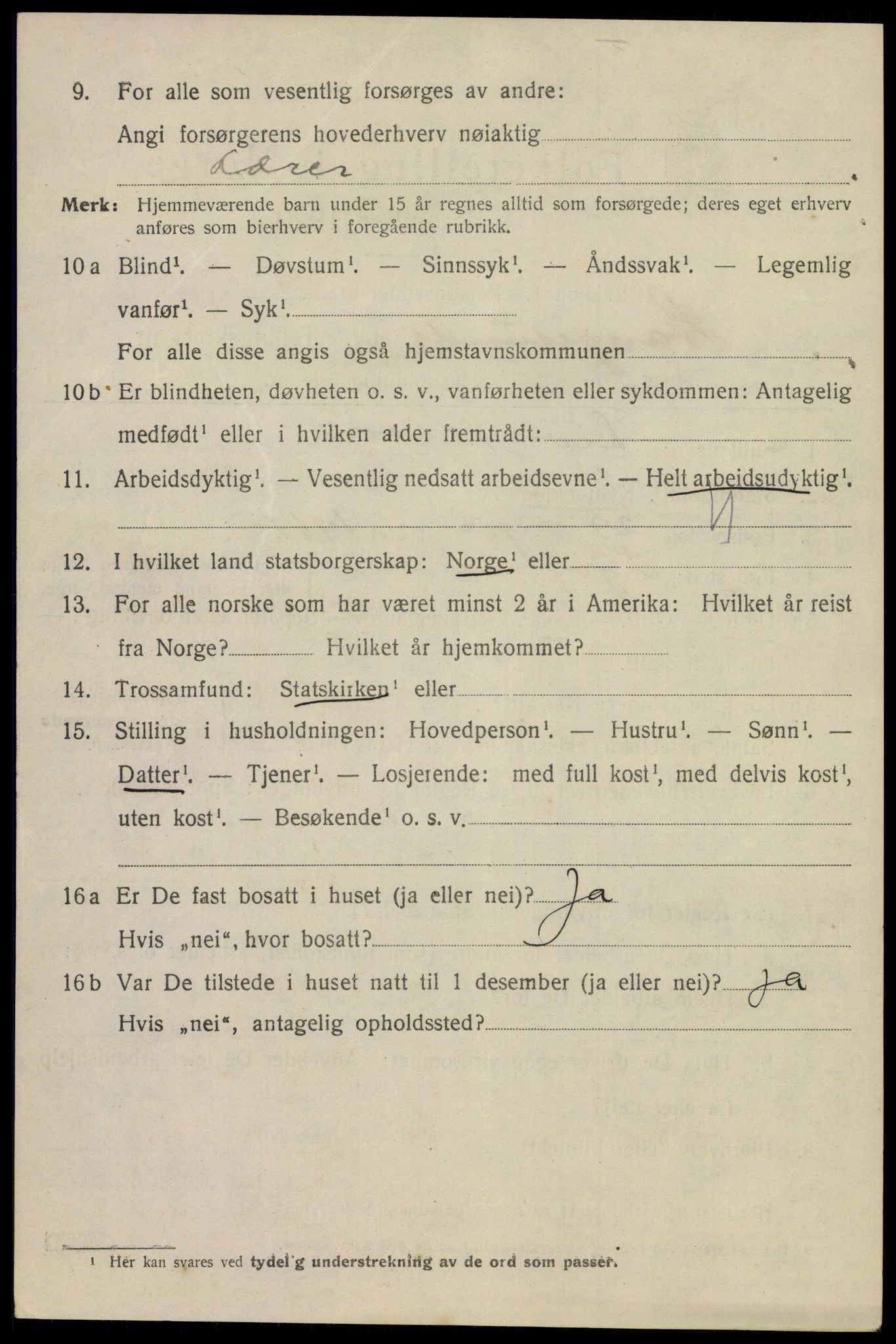 SAKO, 1920 census for Langesund, 1920, p. 3676