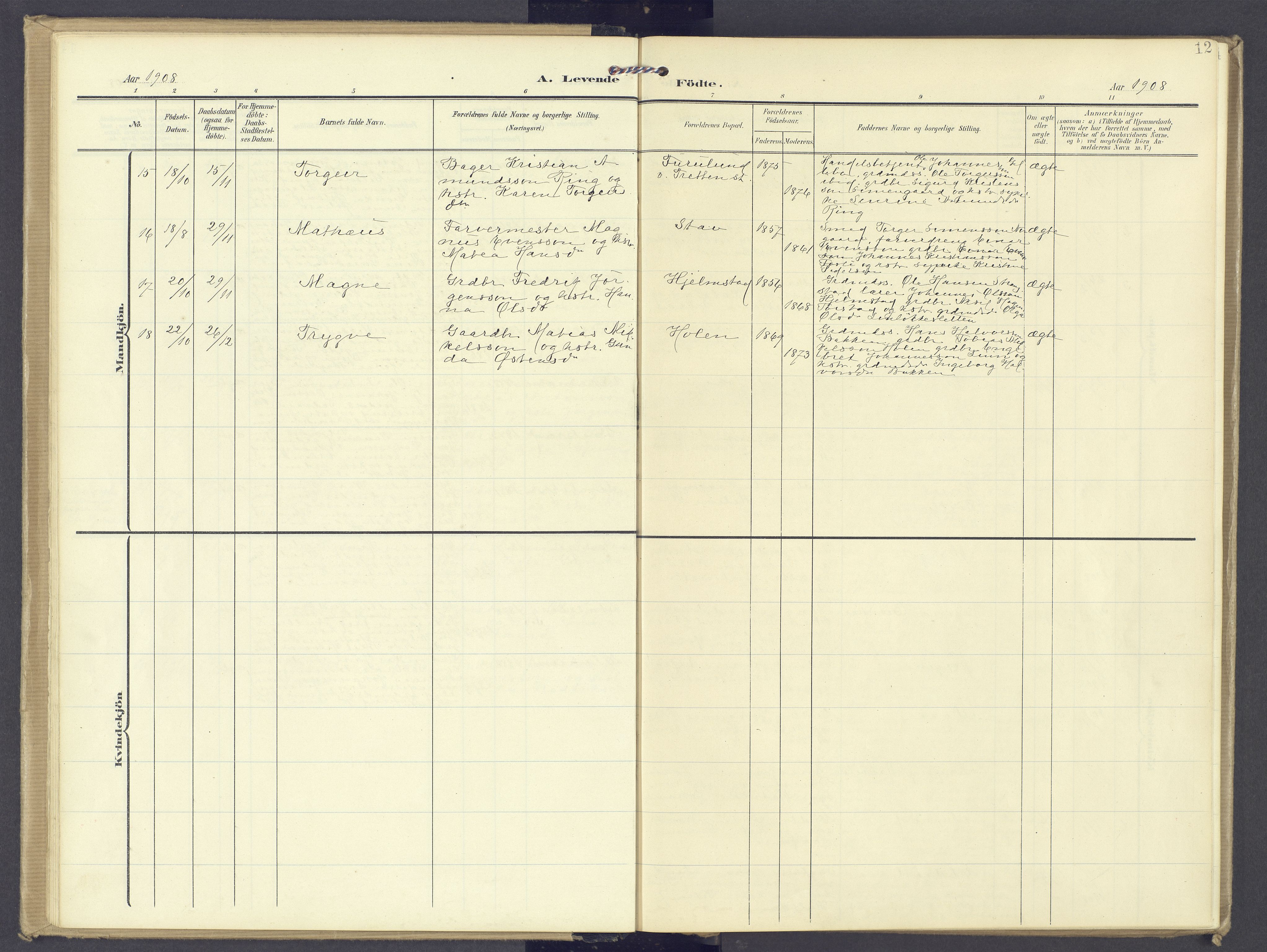 Øyer prestekontor, SAH/PREST-084/H/Ha/Haa/L0013: Parish register (official) no. 13, 1905-1920, p. 12