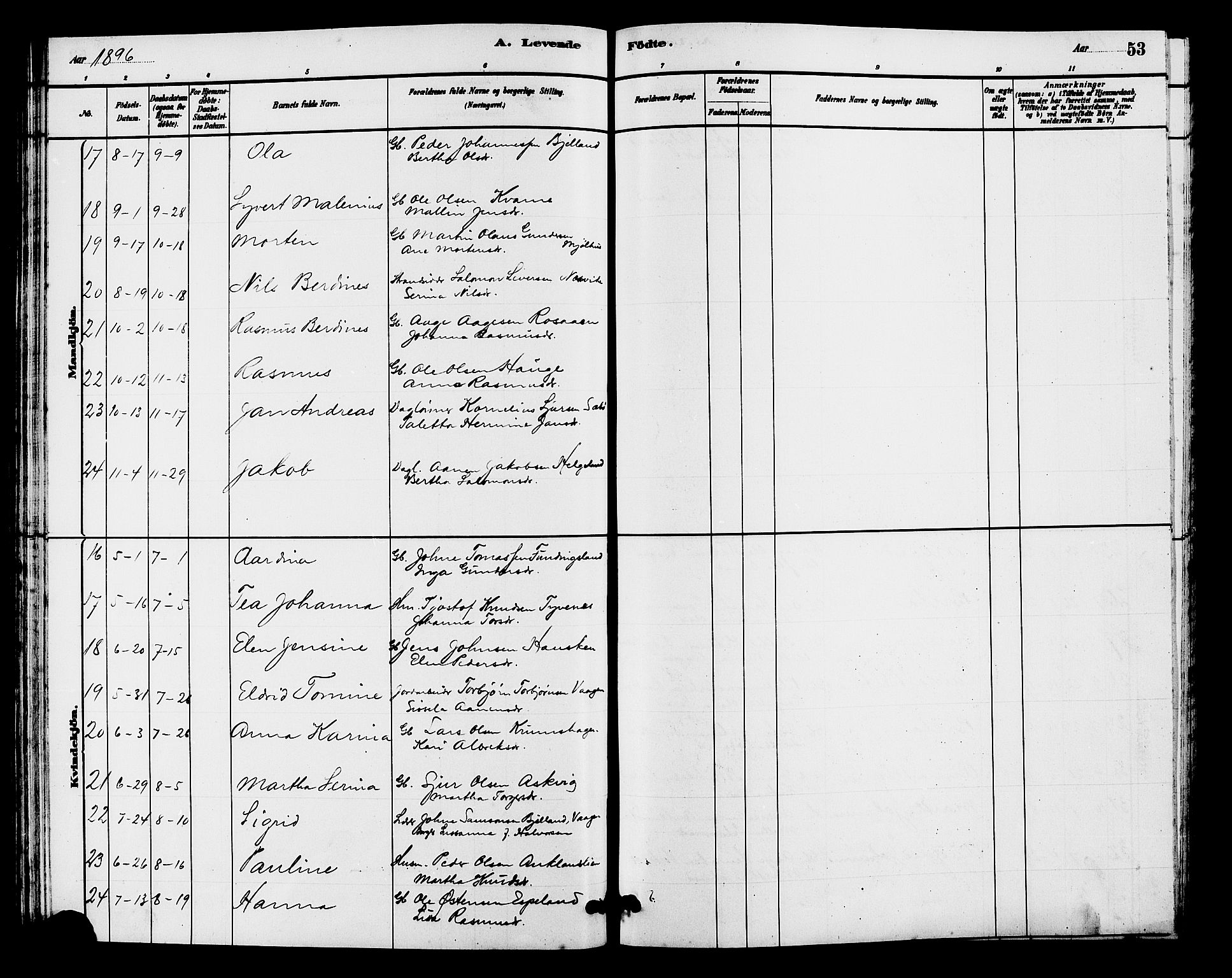 Hjelmeland sokneprestkontor, AV/SAST-A-101843/01/V/L0007: Parish register (copy) no. B 7, 1880-1909, p. 53