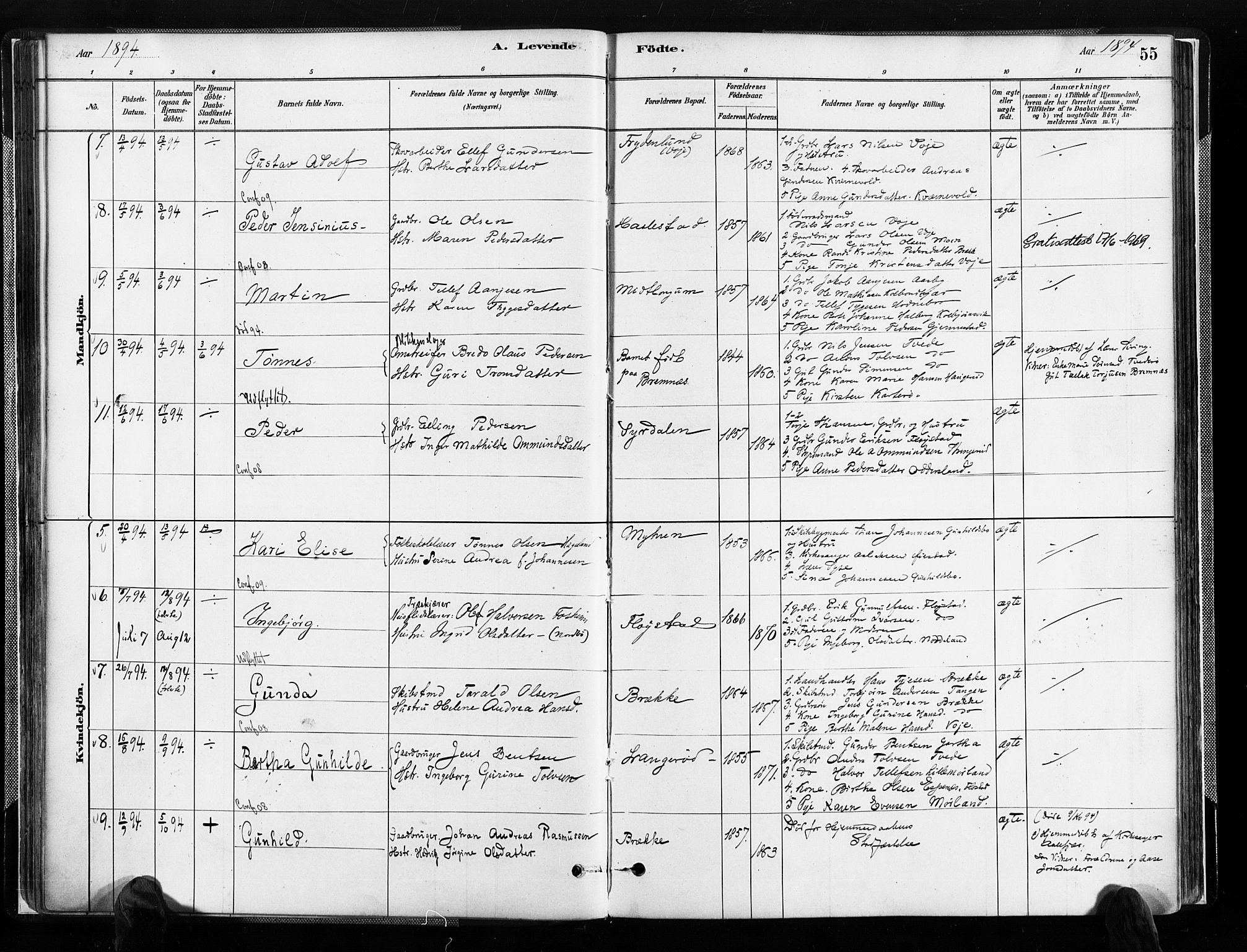 Austre Moland sokneprestkontor, SAK/1111-0001/F/Fa/Faa/L0010: Parish register (official) no. A 10, 1880-1904, p. 55