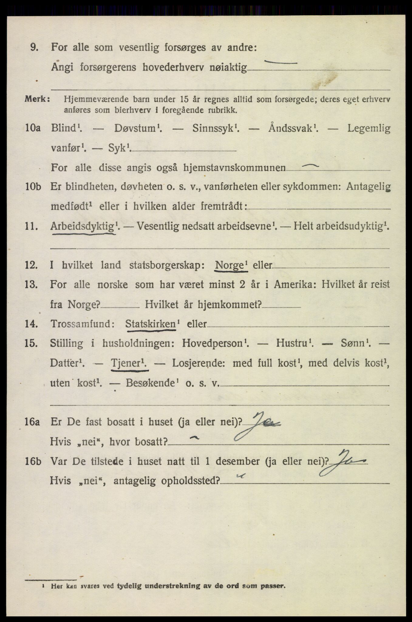 SAH, 1920 census for Øyer, 1920, p. 6719