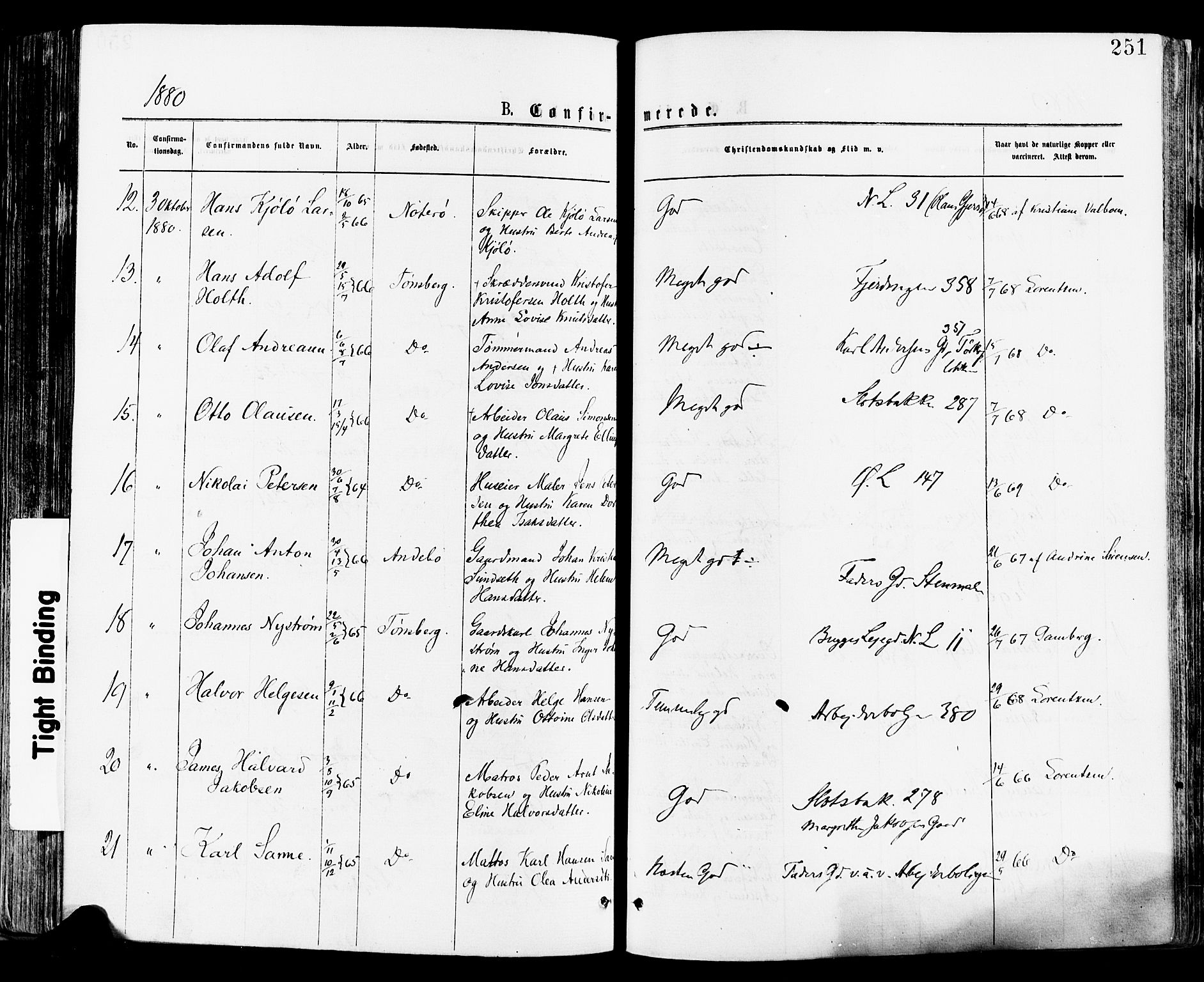 Tønsberg kirkebøker, AV/SAKO-A-330/F/Fa/L0010: Parish register (official) no. I 10, 1874-1880, p. 251