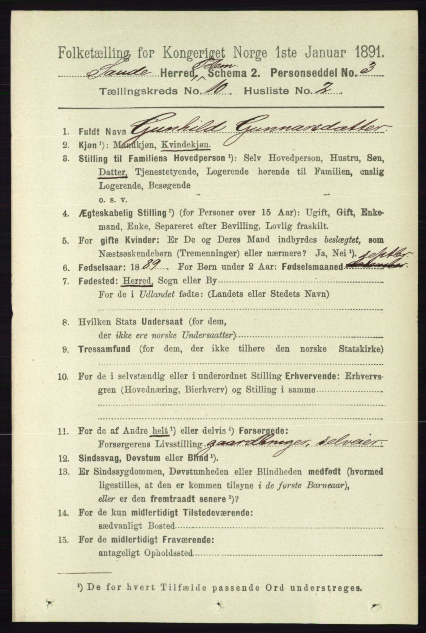 RA, 1891 census for 0822 Sauherad, 1891, p. 3010