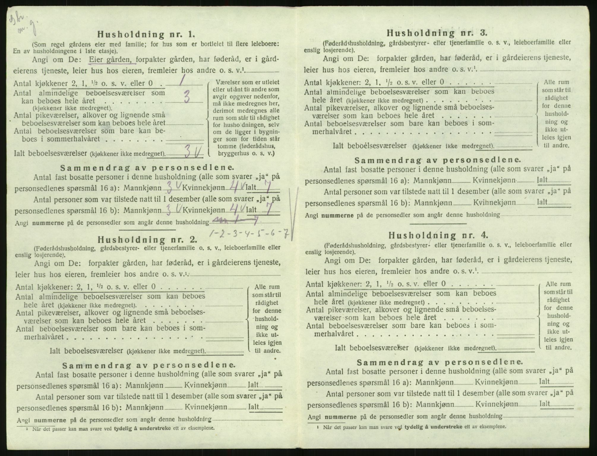 SAK, 1920 census for Hornnes, 1920, p. 118