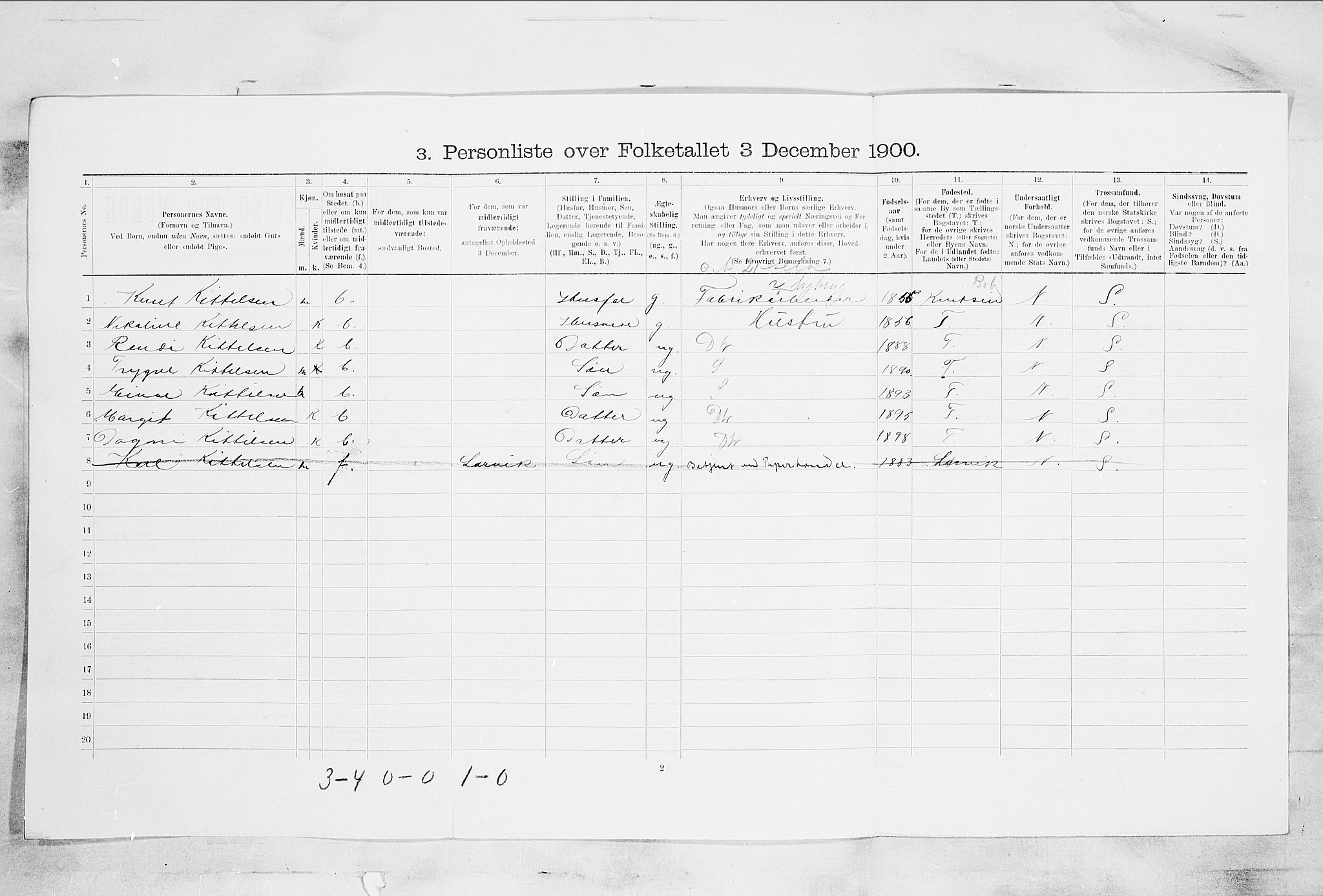 SAKO, 1900 census for Skien, 1900, p. 3295