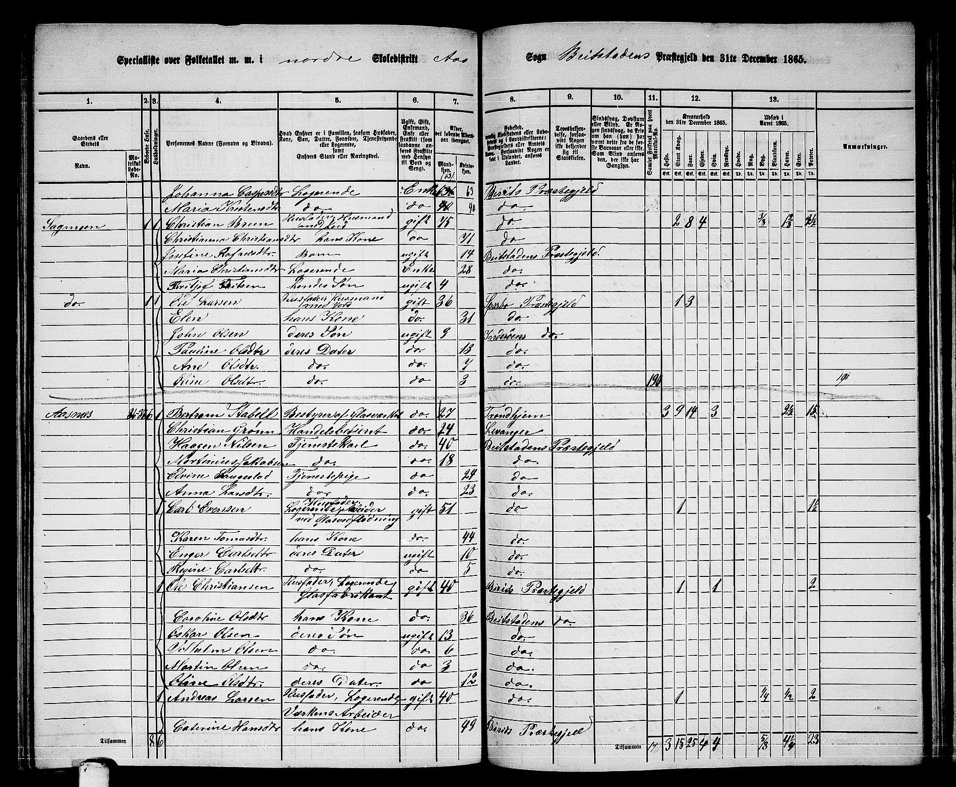 RA, 1865 census for Beitstad, 1865, p. 169