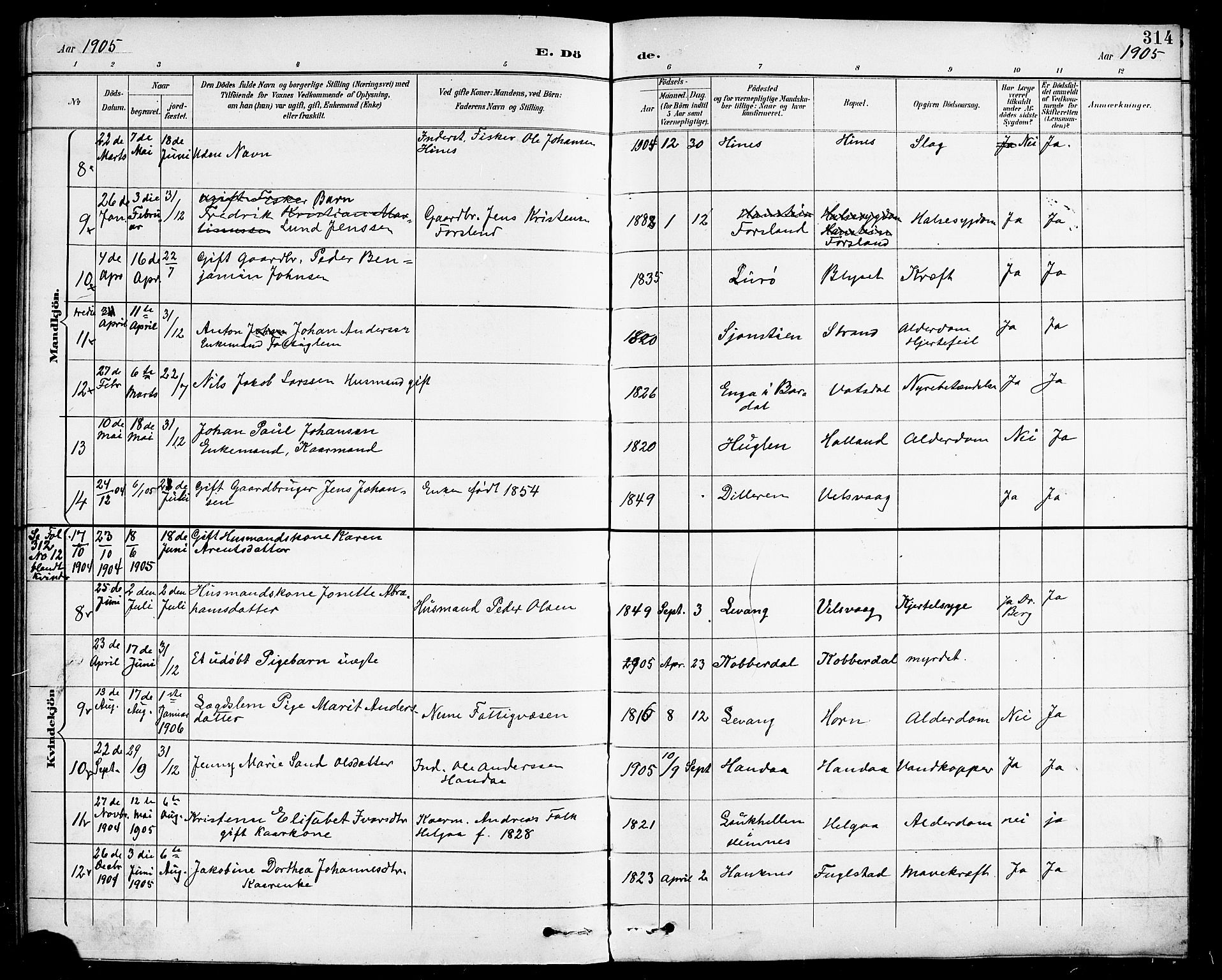 Ministerialprotokoller, klokkerbøker og fødselsregistre - Nordland, AV/SAT-A-1459/838/L0559: Parish register (copy) no. 838C06, 1893-1910, p. 314