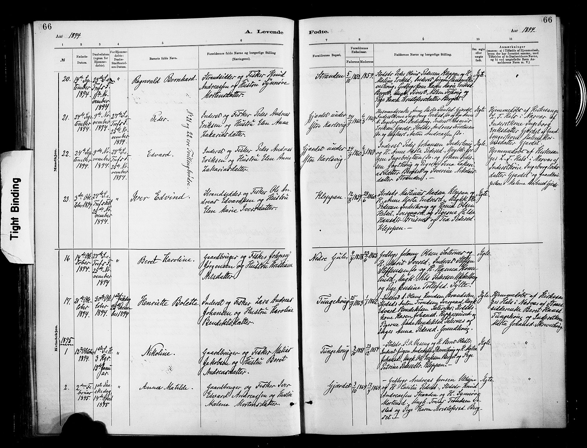 Ministerialprotokoller, klokkerbøker og fødselsregistre - Møre og Romsdal, SAT/A-1454/566/L0769: Parish register (official) no. 566A08, 1881-1903, p. 66