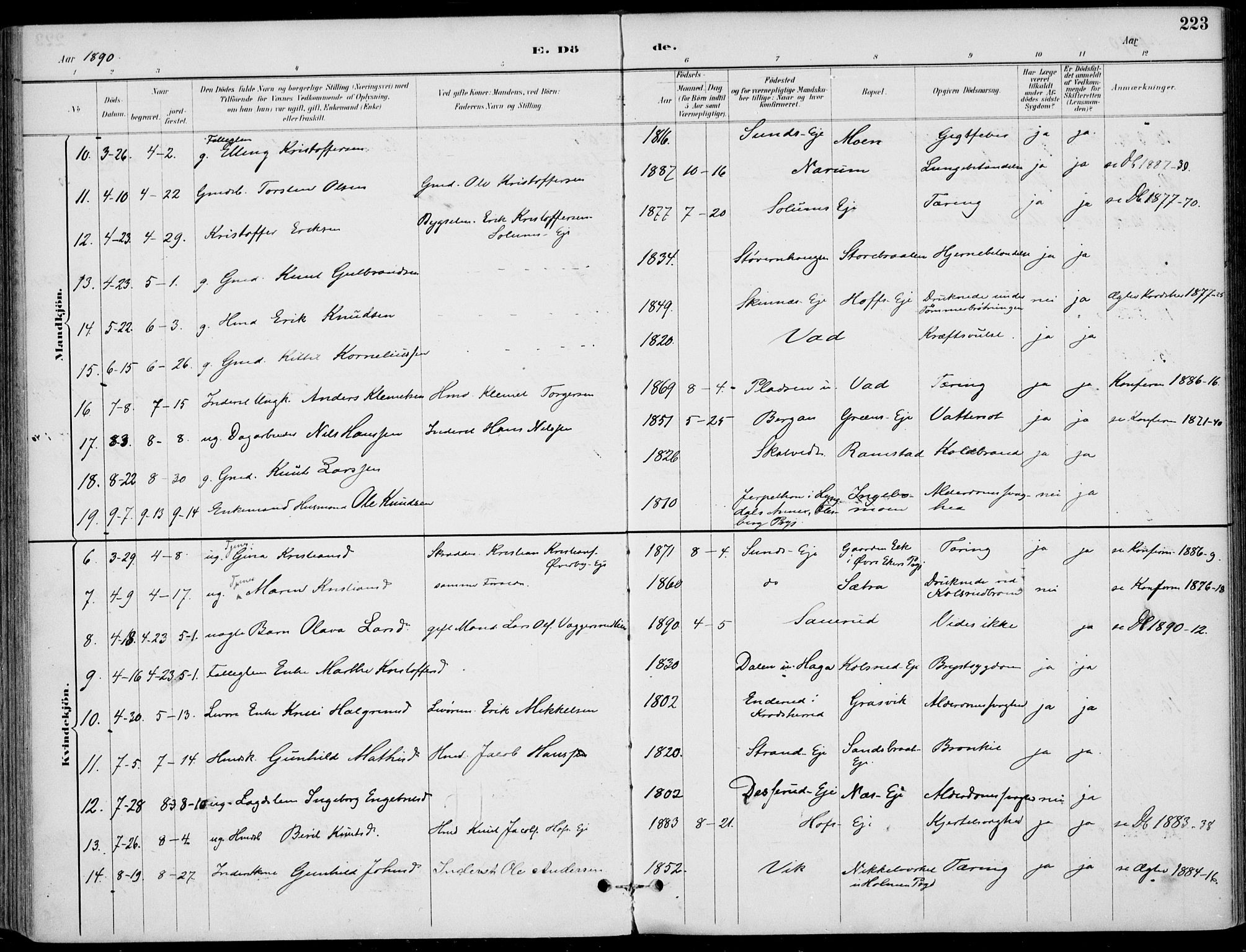 Sigdal kirkebøker, AV/SAKO-A-245/F/Fb/L0001: Parish register (official) no. II 1, 1888-1900, p. 223