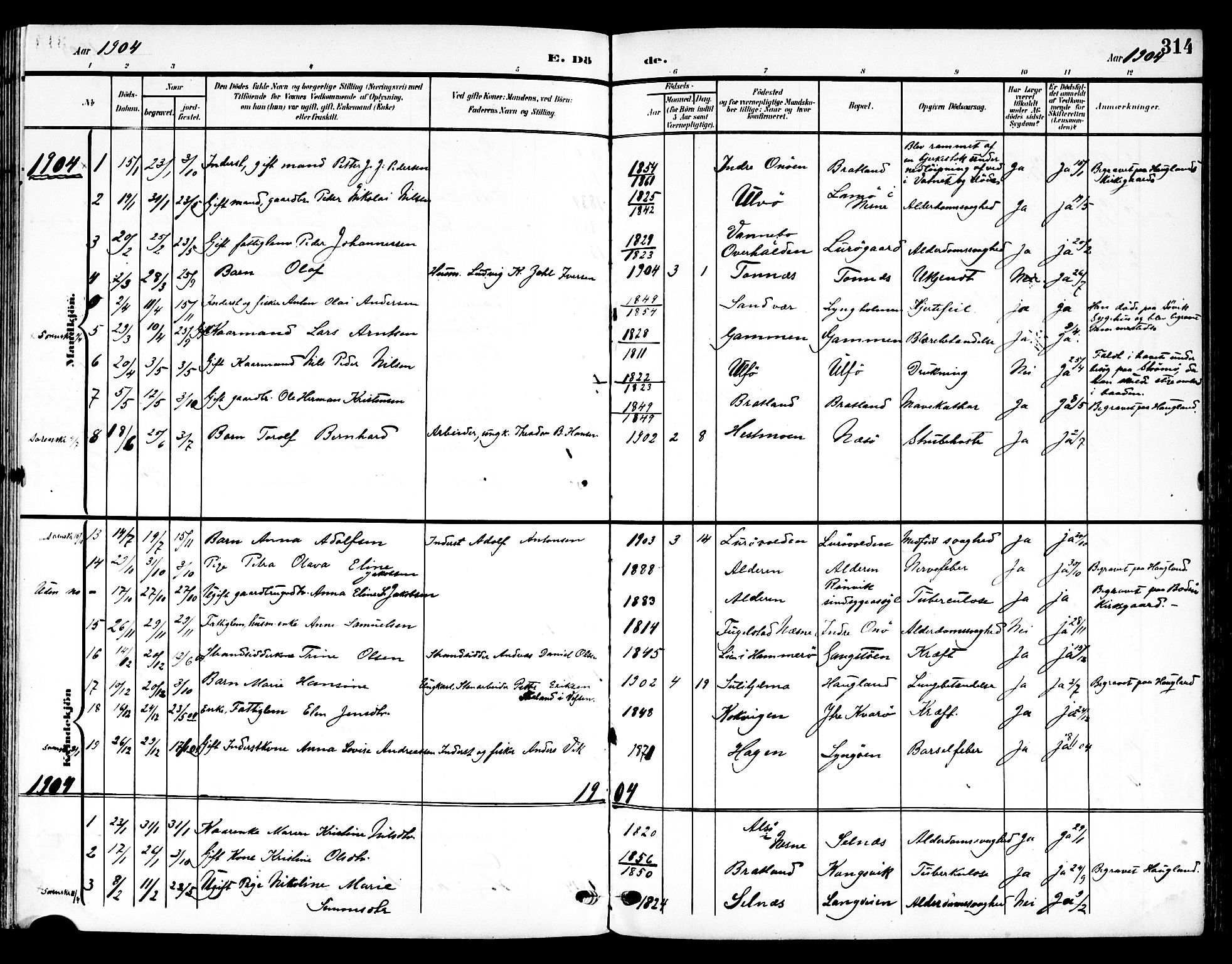 Ministerialprotokoller, klokkerbøker og fødselsregistre - Nordland, SAT/A-1459/839/L0569: Parish register (official) no. 839A06, 1903-1922, p. 314