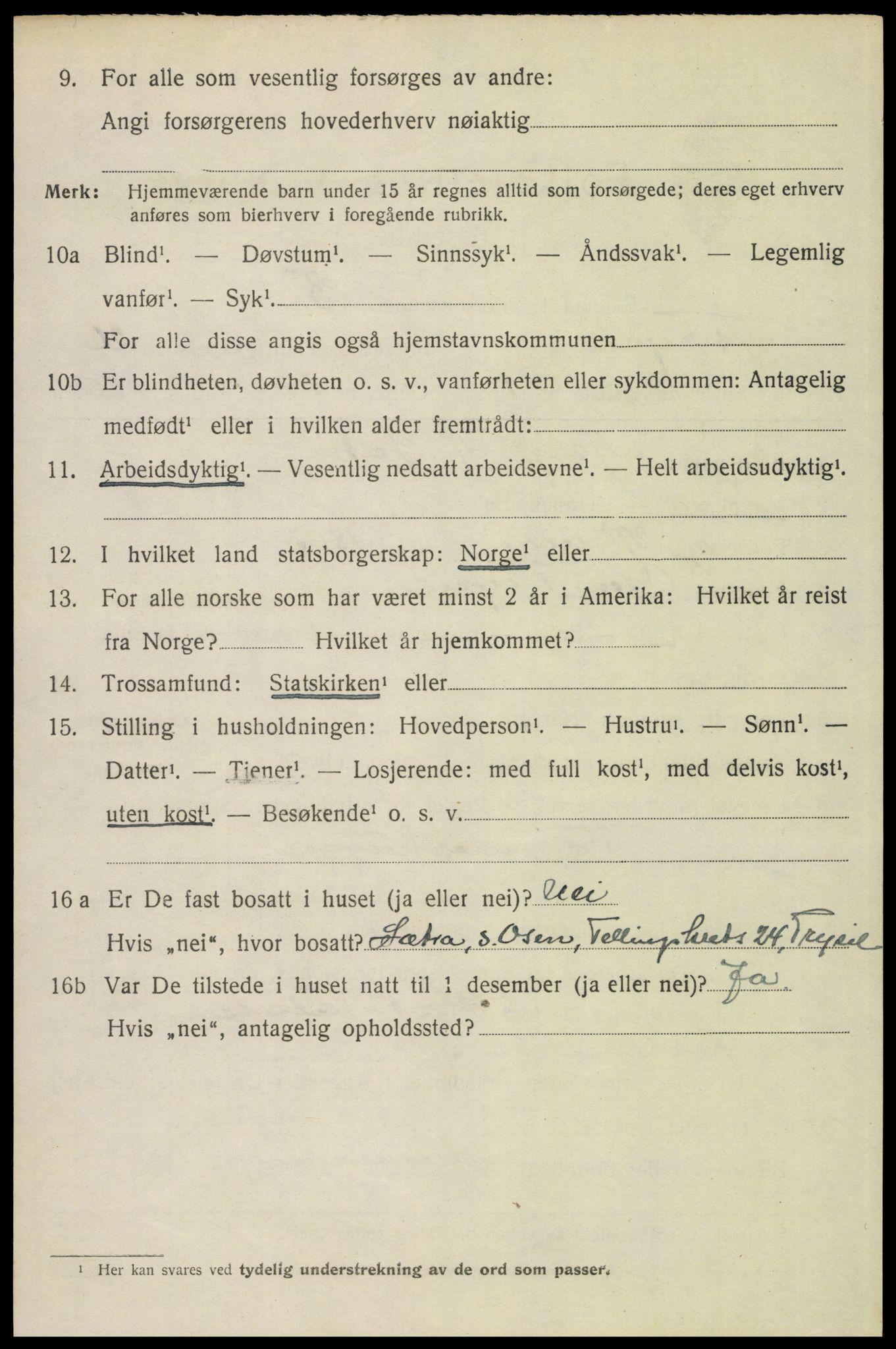 SAH, 1920 census for Trysil, 1920, p. 16116