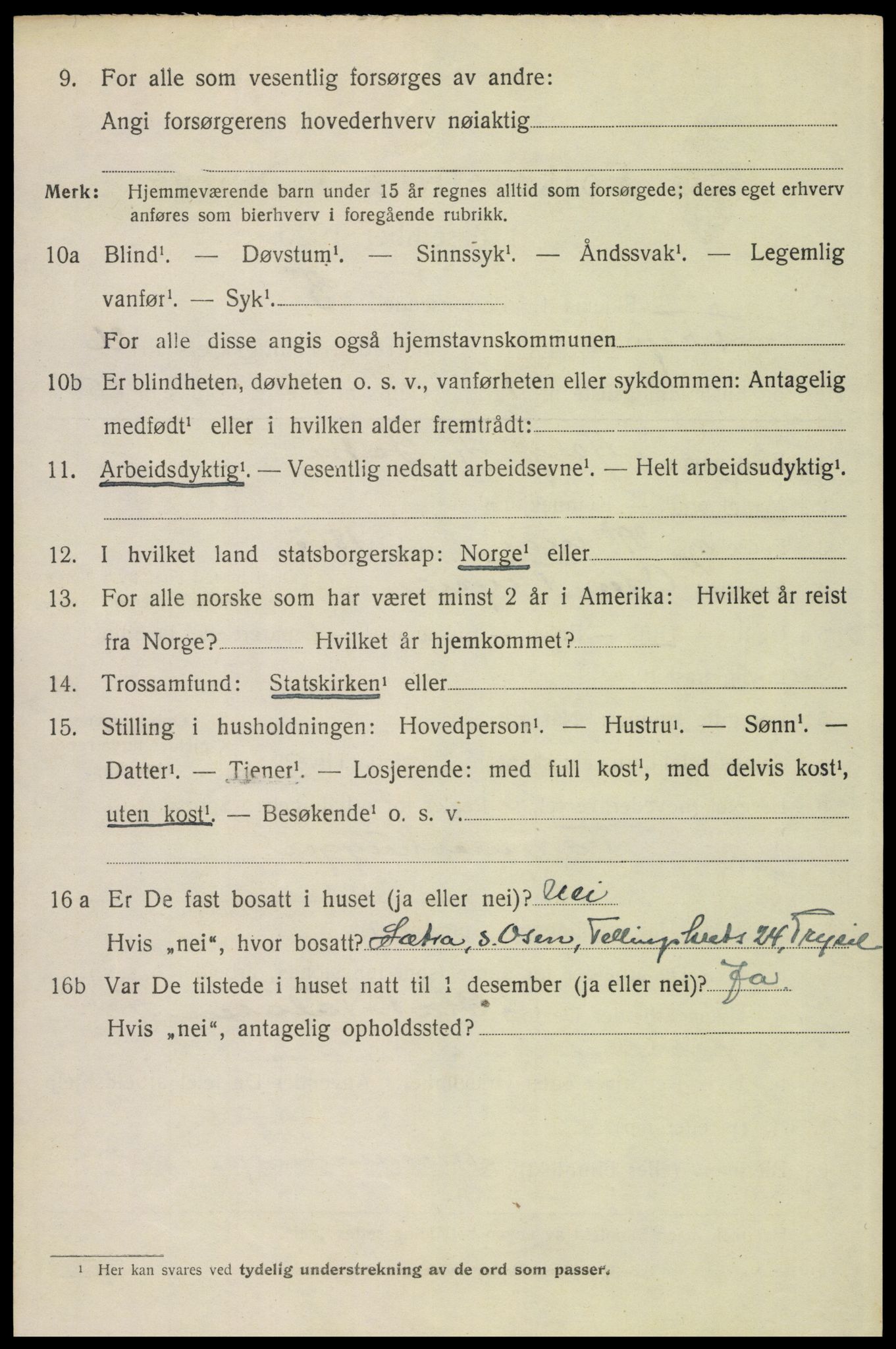 SAH, 1920 census for Trysil, 1920, p. 16116